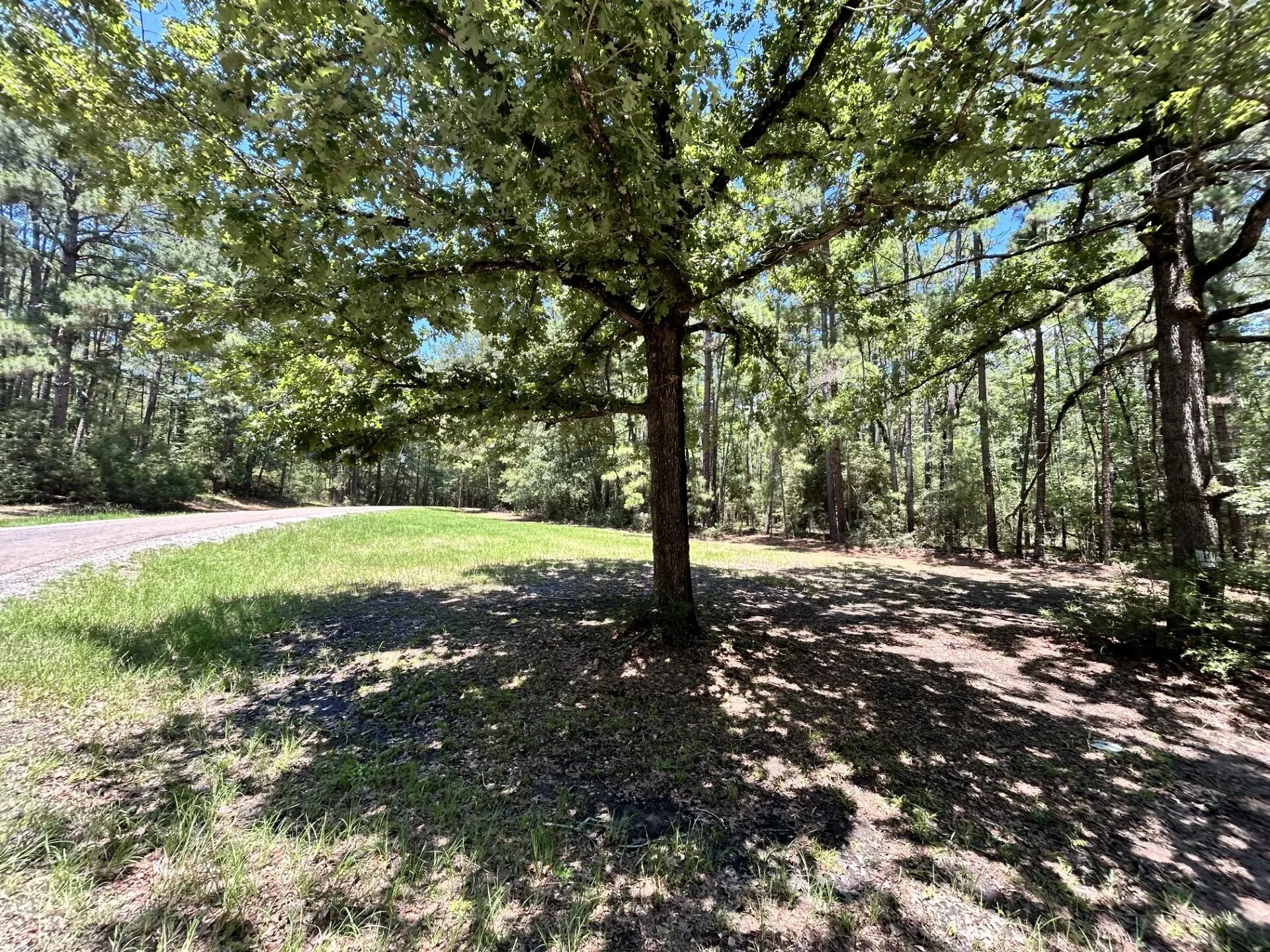 Unimproved Land For Sale in Trinity County , Lot 19 BH Caroll Street, Trinity, Texas 75862, 0, 0, Garage spaces, 0 Sqft, built in 0, Price $14,900, mls#21288065, Real Estate Agent in Trinity, Homes For Sale in Trinity county, Homes For Sale in Trinity, Realtor in Trinity Texas, Real Estate Brokerage Independent Realty Texas, Luminita Cordes Realtor