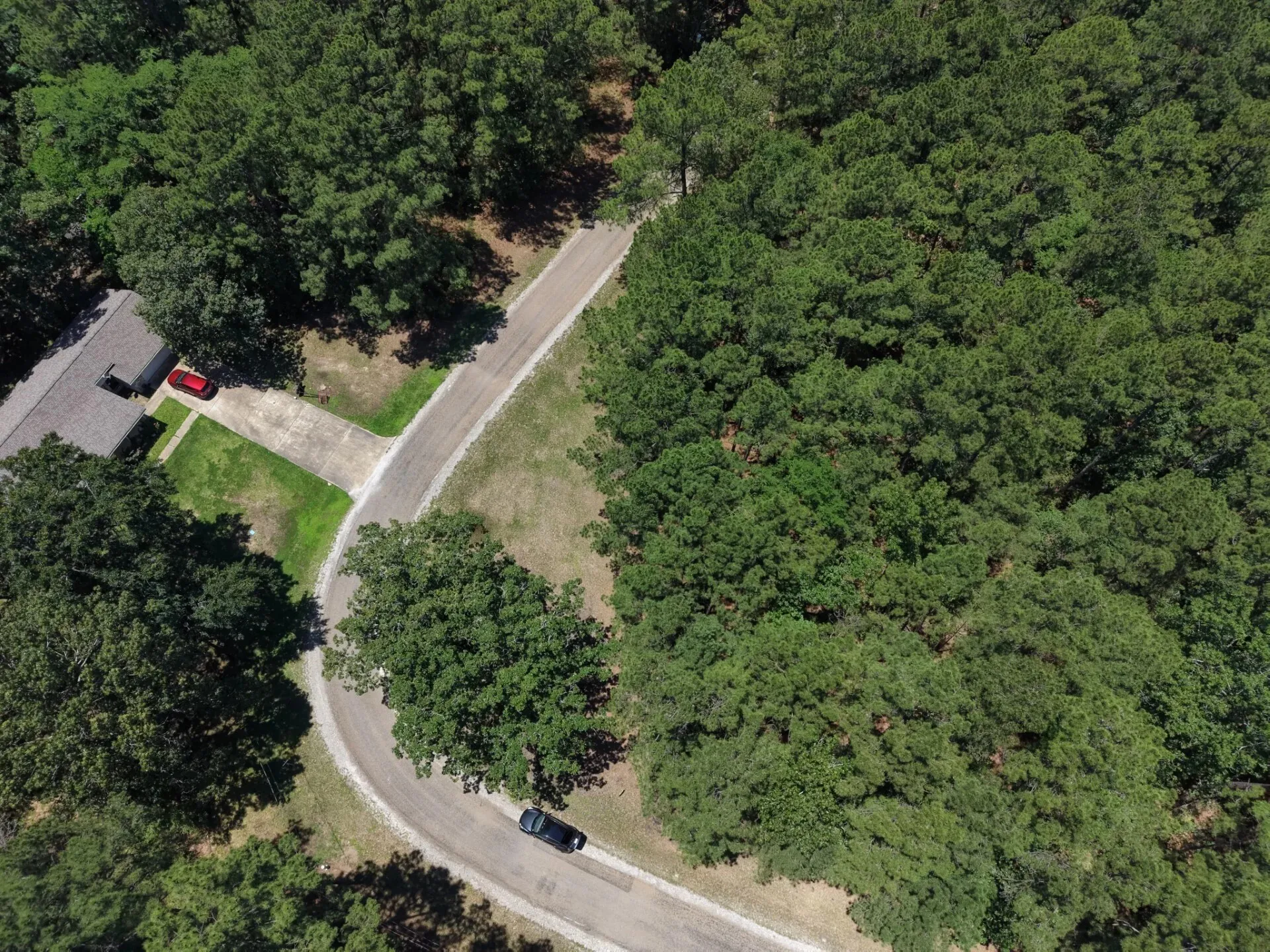 Unimproved Land For Sale in Trinity County , Lot 19 BH Caroll Street, Trinity, Texas 75862, 0, 0, Garage spaces, 0 Sqft, built in 0, Price $14,900, mls#21288065, Real Estate Agent in Trinity, Homes For Sale in Trinity county, Homes For Sale in Trinity, Realtor in Trinity Texas, Real Estate Brokerage Independent Realty Texas, Luminita Cordes Realtor