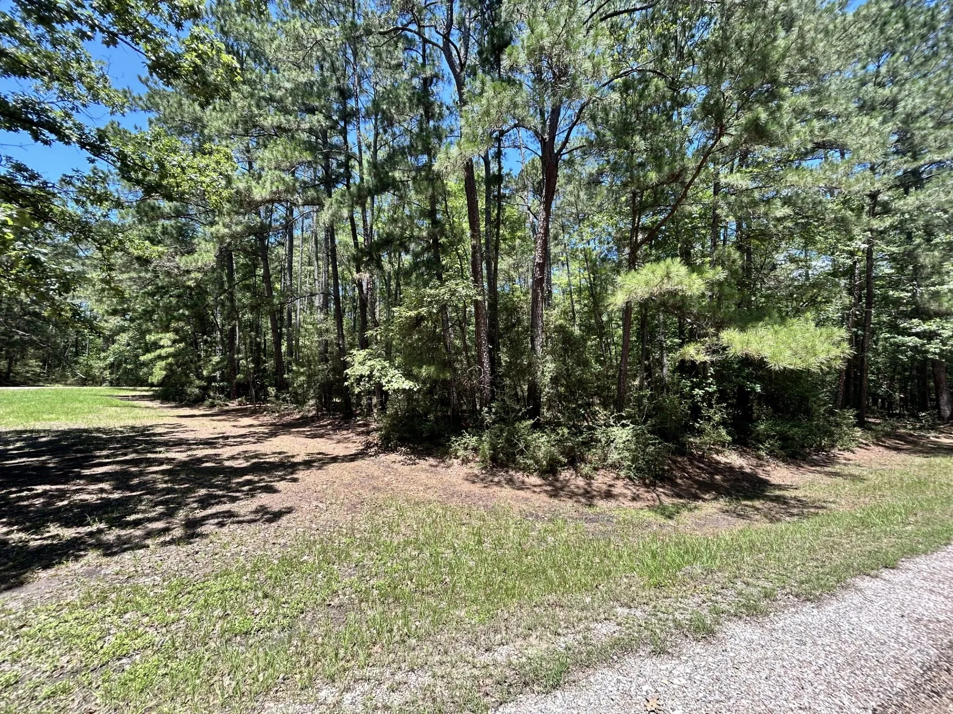Unimproved Land For Sale in Trinity County , Lot 19 BH Caroll Street, Trinity, Texas 75862, 0, 0, Garage spaces, 0 Sqft, built in 0, Price $14,900, mls#21288065, Real Estate Agent in Trinity, Homes For Sale in Trinity county, Homes For Sale in Trinity, Realtor in Trinity Texas, Real Estate Brokerage Independent Realty Texas, Luminita Cordes Realtor