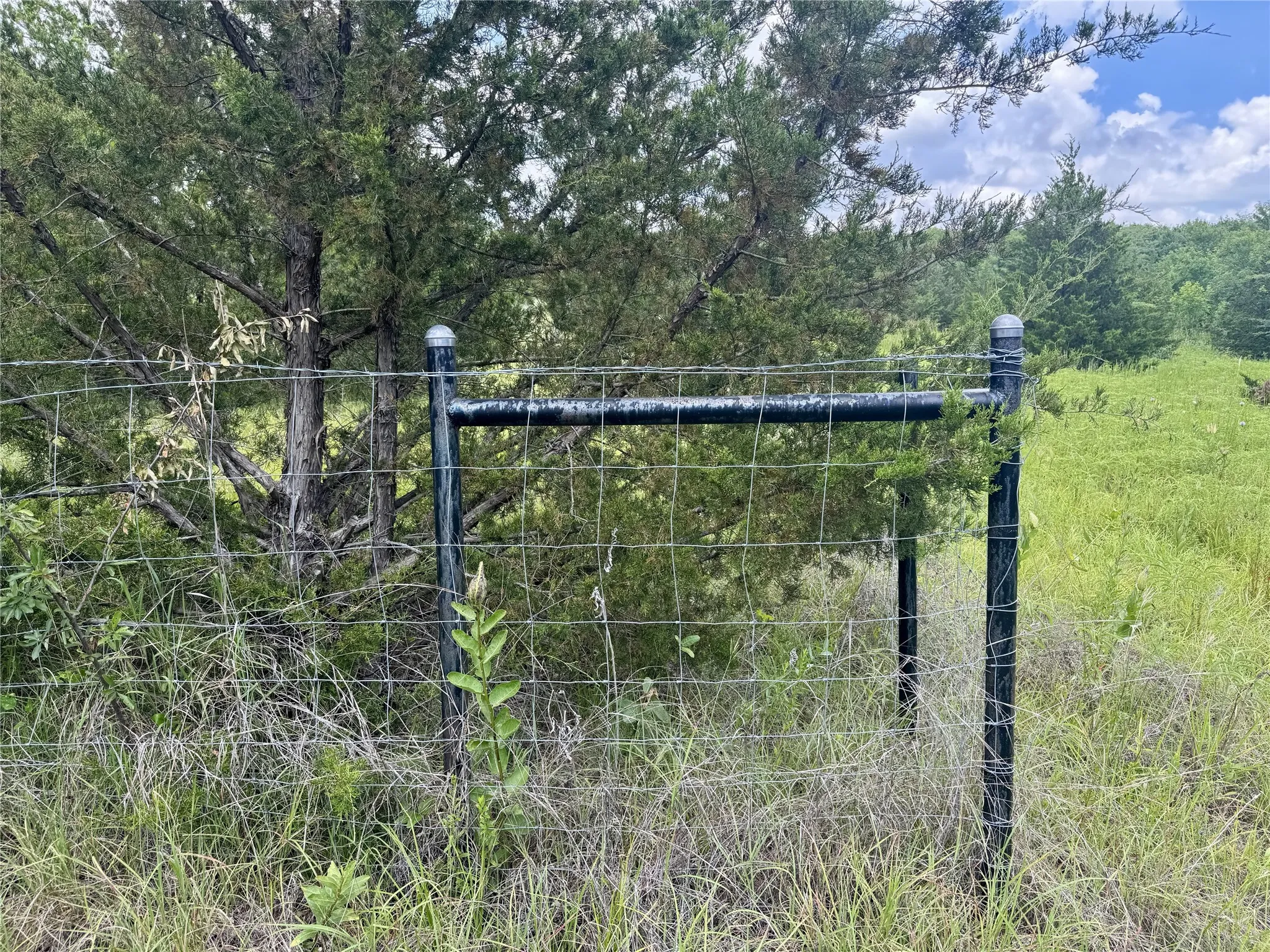Unimproved Land For Sale in Hunt County , 6540 County Road 4813, Commerce, Texas 75449, 0, 0, Garage spaces, 0 Sqft, built in 0, mls#21288019, Real Estate Agent in Commerce, Homes For Sale in Hunt county, Homes For Sale in Commerce, Realtor in Commerce Texas, Real Estate Brokerage Independent Realty Texas, Luminita Cordes Realtor