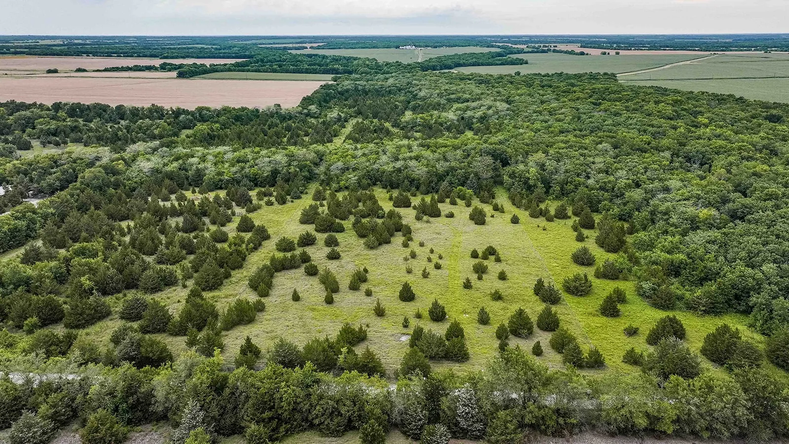 Expansive land parcel featuring a mix of mature trees, scattered evergreens, and open grassy areas