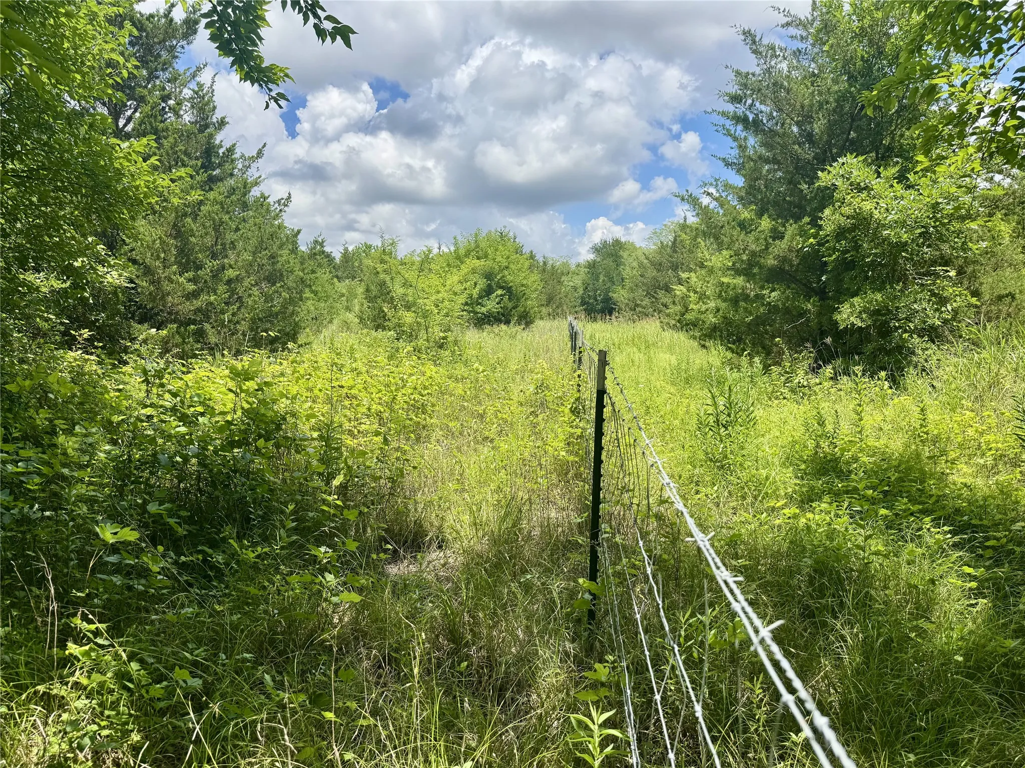 Unimproved Land For Sale in Hunt County , 6540 County Road 4813, Commerce, Texas 75449, 0, 0, Garage spaces, 0 Sqft, built in 0, mls#21288019, Real Estate Agent in Commerce, Homes For Sale in Hunt county, Homes For Sale in Commerce, Realtor in Commerce Texas, Real Estate Brokerage Independent Realty Texas, Luminita Cordes Realtor