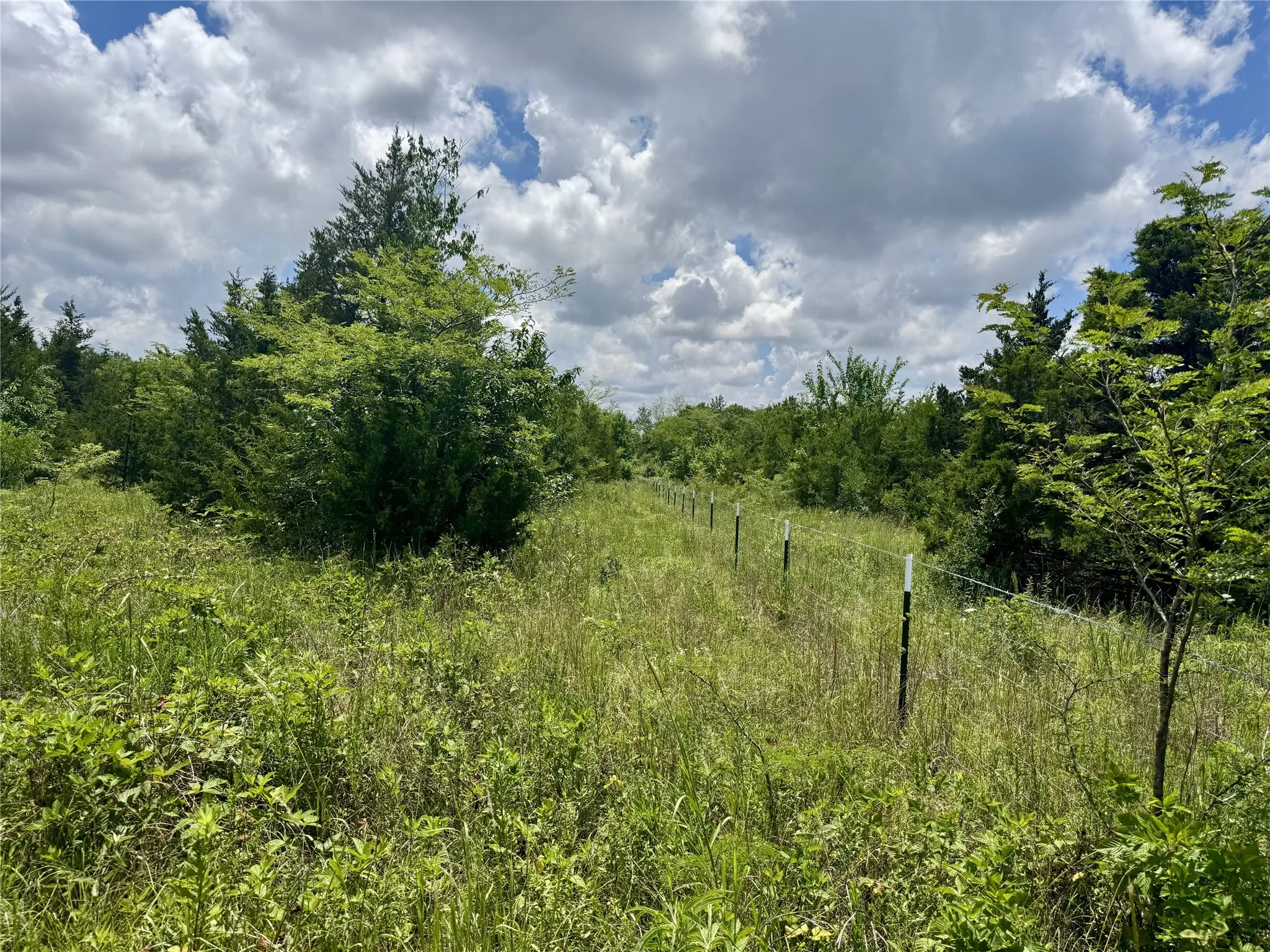Unimproved Land For Sale in Hunt County , 6540 County Road 4813, Commerce, Texas 75449, 0, 0, Garage spaces, 0 Sqft, built in 0, mls#21288019, Real Estate Agent in Commerce, Homes For Sale in Hunt county, Homes For Sale in Commerce, Realtor in Commerce Texas, Real Estate Brokerage Independent Realty Texas, Luminita Cordes Realtor