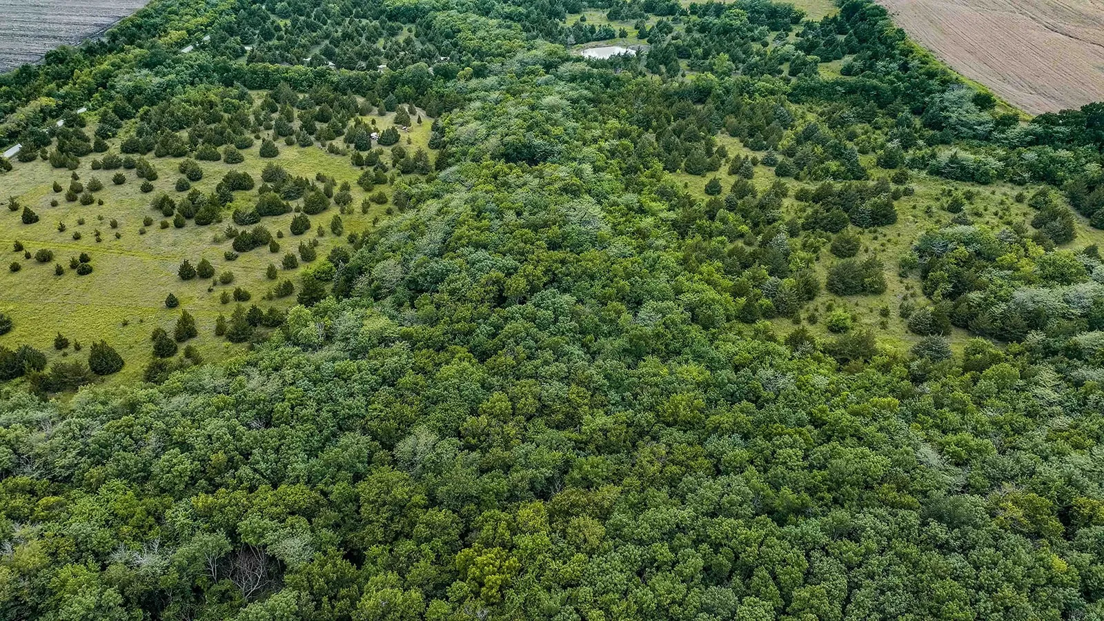 Expansive acreage featuring a mix of mature trees, open clearings, and wooded areas