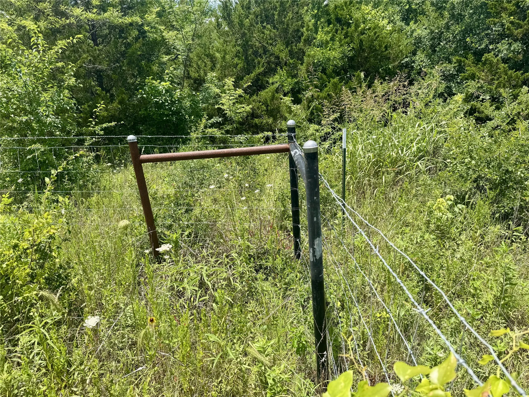 Unimproved Land For Sale in Hunt County , 6540 County Road 4813, Commerce, Texas 75449, 0, 0, Garage spaces, 0 Sqft, built in 0, mls#21288019, Real Estate Agent in Commerce, Homes For Sale in Hunt county, Homes For Sale in Commerce, Realtor in Commerce Texas, Real Estate Brokerage Independent Realty Texas, Luminita Cordes Realtor