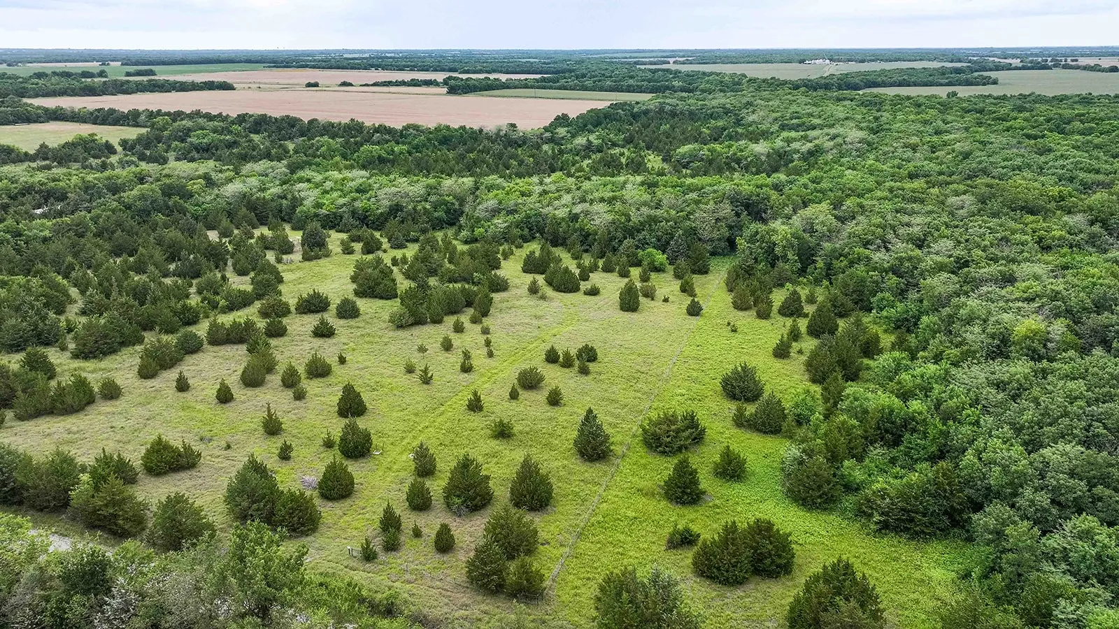 Expansive landscape featuring open grassy areas, scattered mature trees, dense wooded sections, and distant cultivated fields