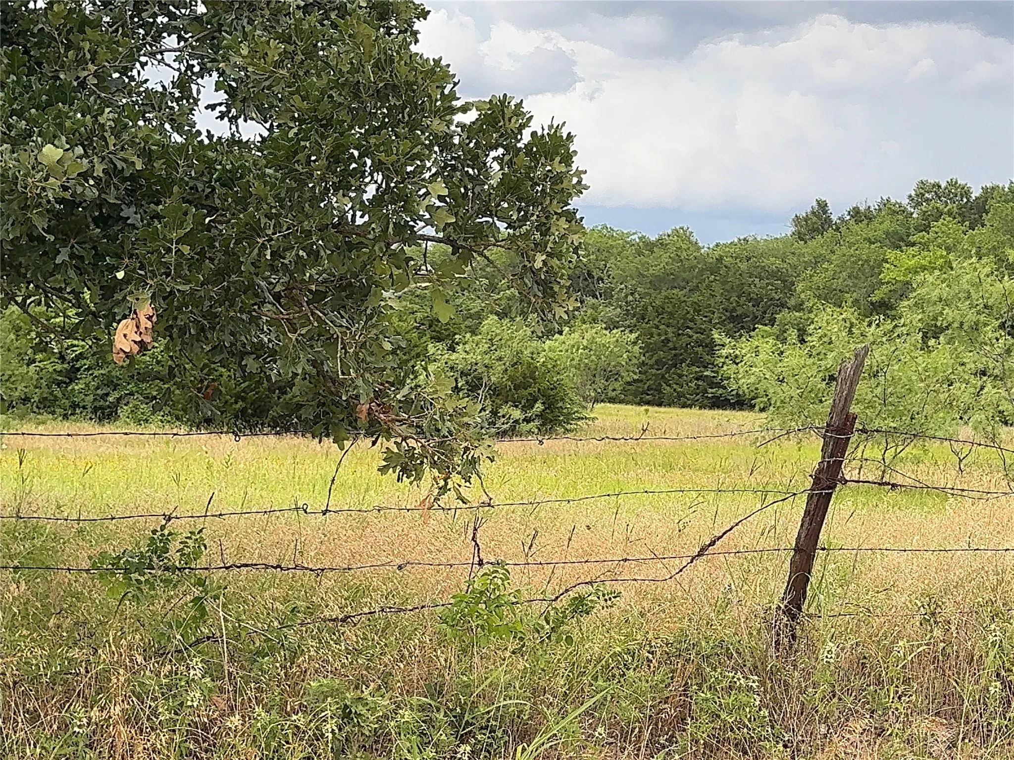 Unimproved Land For Sale in Kaufman County , TBD Co Rd 312, Terrell, Texas 75161, 0, 0, Garage spaces, 0 Sqft, built in 0, Price $1,800,000, mls#21288084, Real Estate Agent in Terrell, Homes For Sale in Kaufman county, Homes For Sale in Terrell, Realtor in Terrell Texas, Real Estate Brokerage Independent Realty Texas, Luminita Cordes Realtor