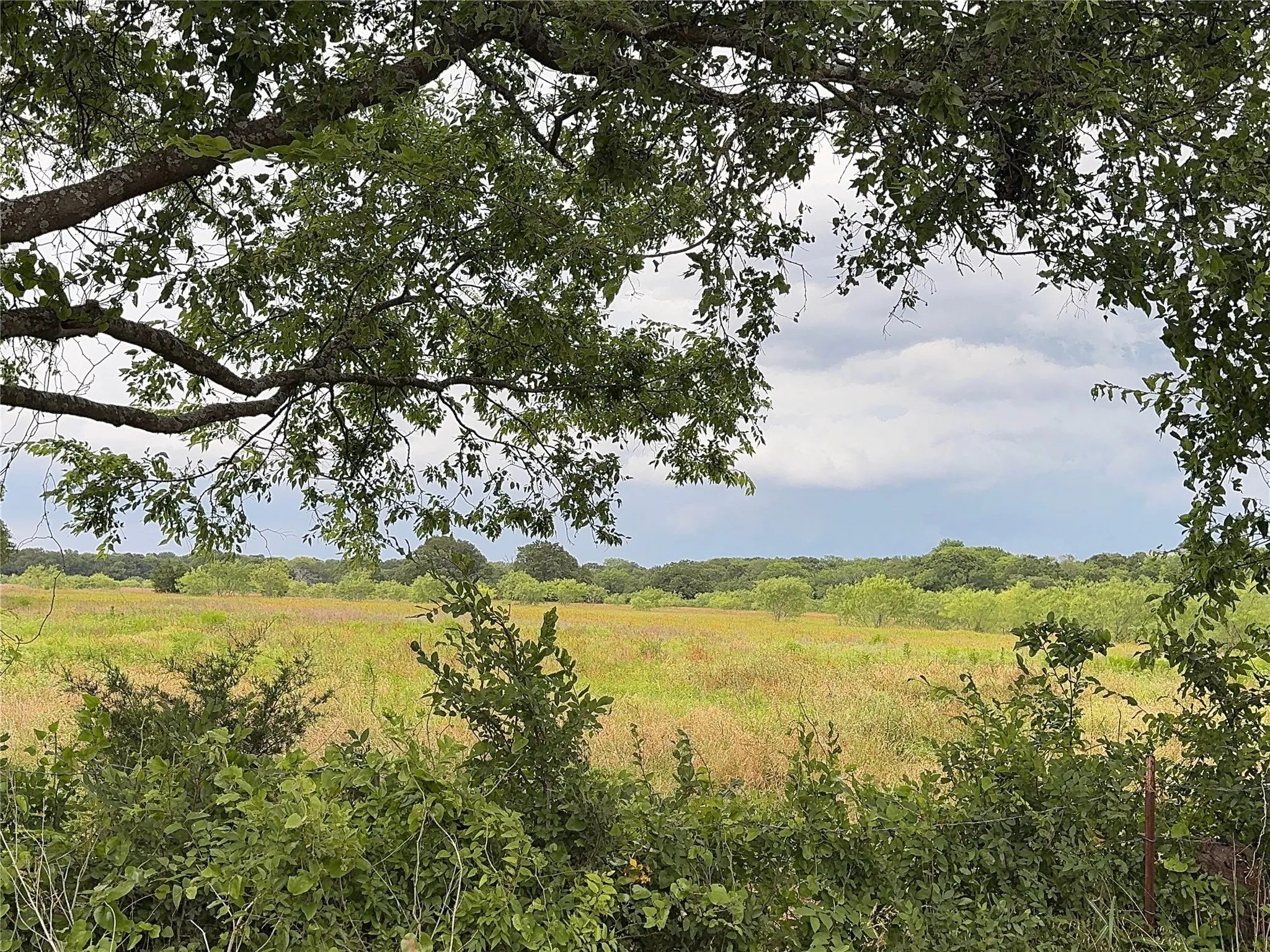 Unimproved Land For Sale in Kaufman County , TBD Co Rd 312, Terrell, Texas 75161, 0, 0, Garage spaces, 0 Sqft, built in 0, Price $1,800,000, mls#21288084, Real Estate Agent in Terrell, Homes For Sale in Kaufman county, Homes For Sale in Terrell, Realtor in Terrell Texas, Real Estate Brokerage Independent Realty Texas, Luminita Cordes Realtor