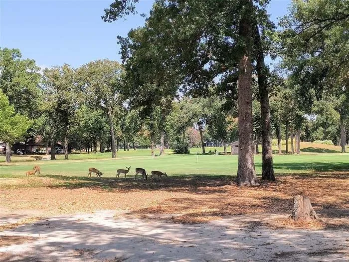 Expansive green space featuring mature trees and a manicured lawn