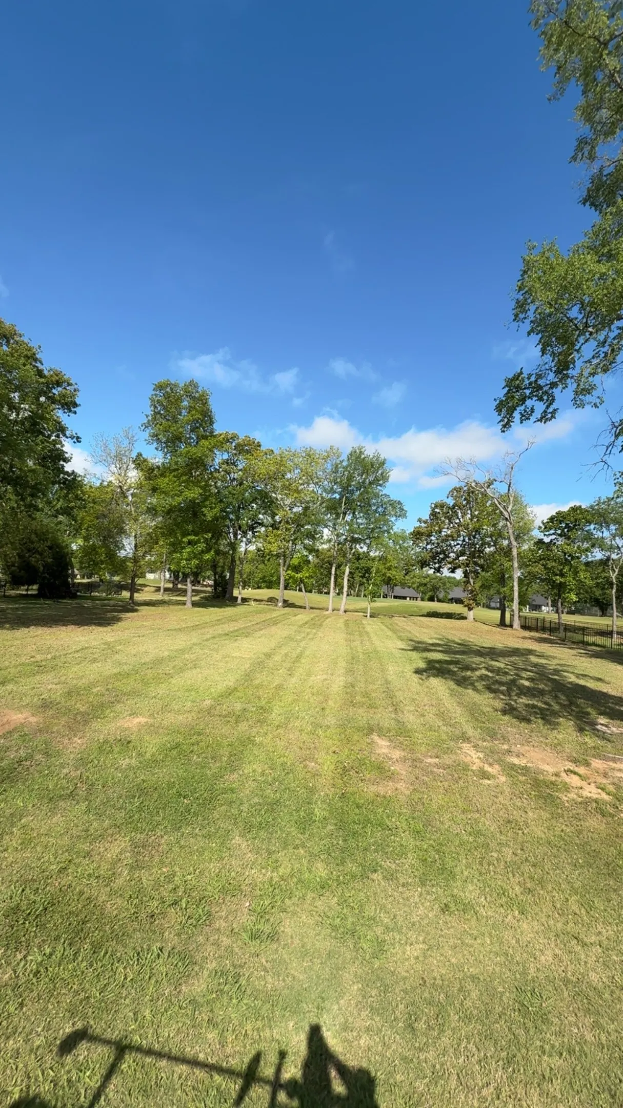 Expansive green lawn with visible mowing patterns, framed by mature trees, under a clear blue sky