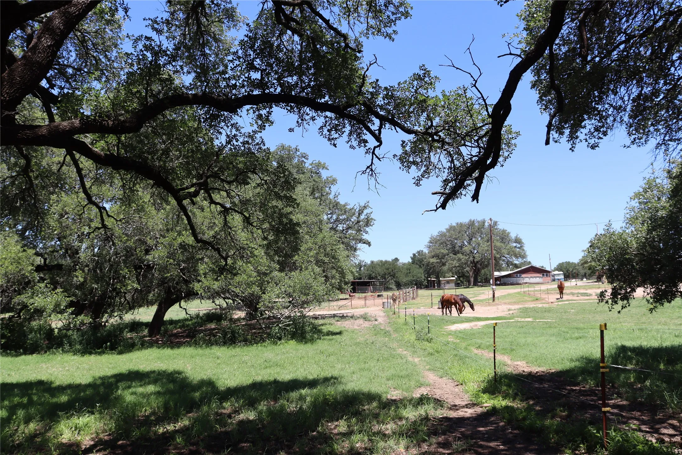 Ranch For Sale in Comanche County , 3900 County Road 304, Comanche, Texas 76442, 0, 0, Garage spaces, 0 Sqft, built in 1964, mls#21288102, Real Estate Agent in Comanche, Homes For Sale in Comanche county, Homes For Sale in Comanche, Realtor in Comanche Texas, Real Estate Brokerage Independent Realty Texas, Luminita Cordes Realtor