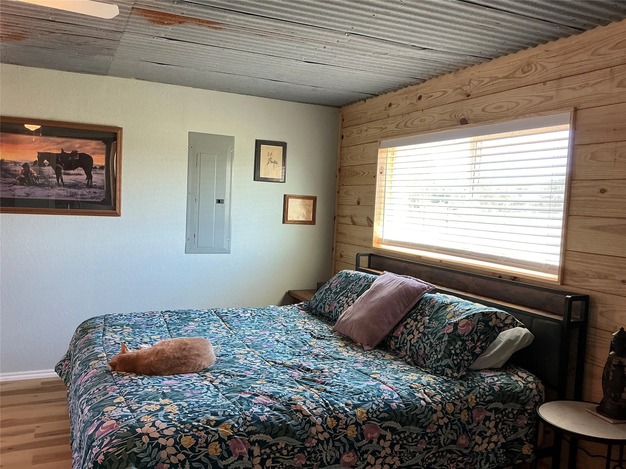 Ranch For Sale in Comanche County , 3900 County Road 304, Comanche, Texas 76442, 0, 0, Garage spaces, 0 Sqft, built in 1964, mls#21288102, Real Estate Agent in Comanche, Homes For Sale in Comanche county, Homes For Sale in Comanche, Realtor in Comanche Texas, Real Estate Brokerage Independent Realty Texas, Luminita Cordes Realtor