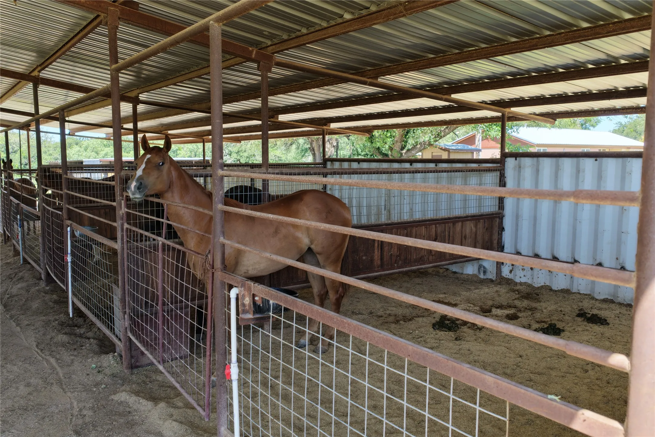 Ranch For Sale in Comanche County , 3900 County Road 304, Comanche, Texas 76442, 0, 0, Garage spaces, 0 Sqft, built in 1964, mls#21288102, Real Estate Agent in Comanche, Homes For Sale in Comanche county, Homes For Sale in Comanche, Realtor in Comanche Texas, Real Estate Brokerage Independent Realty Texas, Luminita Cordes Realtor