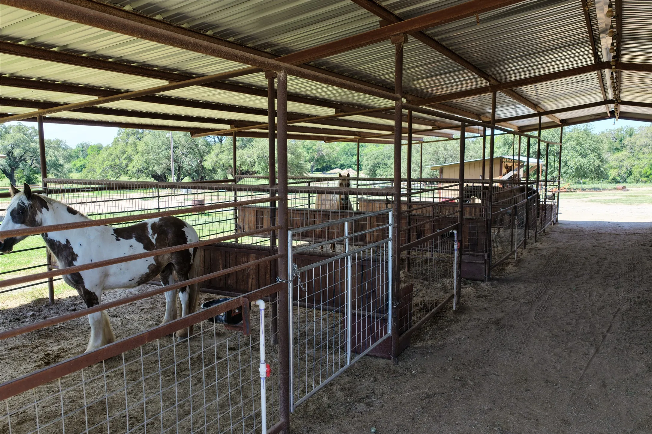 Ranch For Sale in Comanche County , 3900 County Road 304, Comanche, Texas 76442, 0, 0, Garage spaces, 0 Sqft, built in 1964, mls#21288102, Real Estate Agent in Comanche, Homes For Sale in Comanche county, Homes For Sale in Comanche, Realtor in Comanche Texas, Real Estate Brokerage Independent Realty Texas, Luminita Cordes Realtor