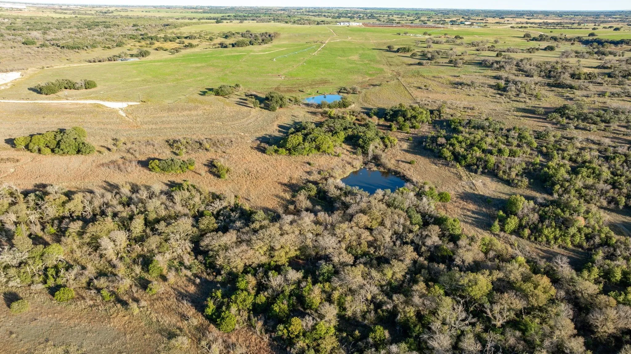 Unimproved Land For Sale in Comanche County , Lot 88 Mason Court, Dublin, Texas 76446, 0, 0, Garage spaces, 0 Sqft, built in 0, mls#21288176, Real Estate Agent in Dublin, Homes For Sale in Comanche county, Homes For Sale in Dublin, Realtor in Dublin Texas, Real Estate Brokerage Independent Realty Texas, Luminita Cordes Realtor
