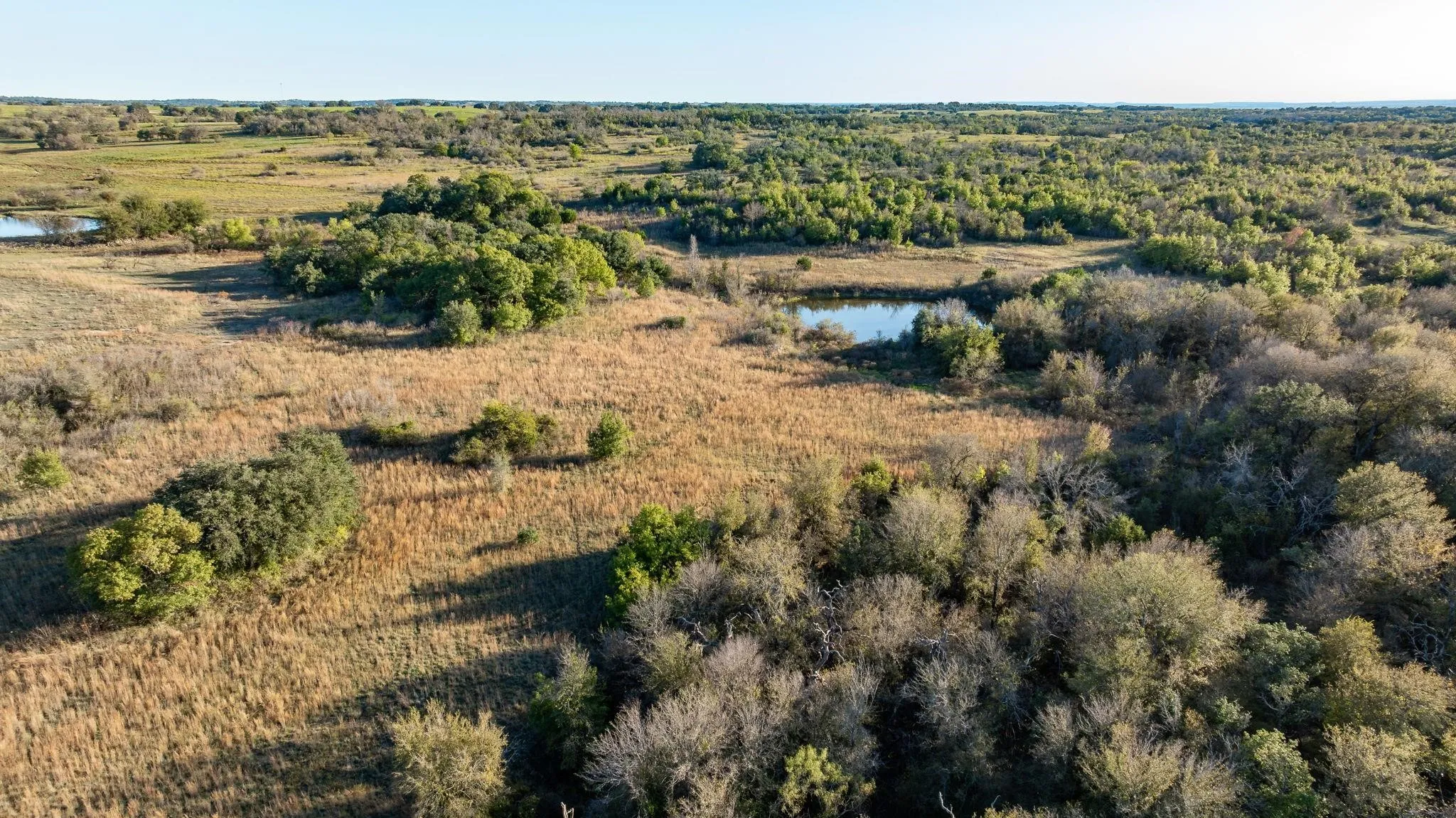 Unimproved Land For Sale in Comanche County , Lot 88 Mason Court, Dublin, Texas 76446, 0, 0, Garage spaces, 0 Sqft, built in 0, mls#21288176, Real Estate Agent in Dublin, Homes For Sale in Comanche county, Homes For Sale in Dublin, Realtor in Dublin Texas, Real Estate Brokerage Independent Realty Texas, Luminita Cordes Realtor