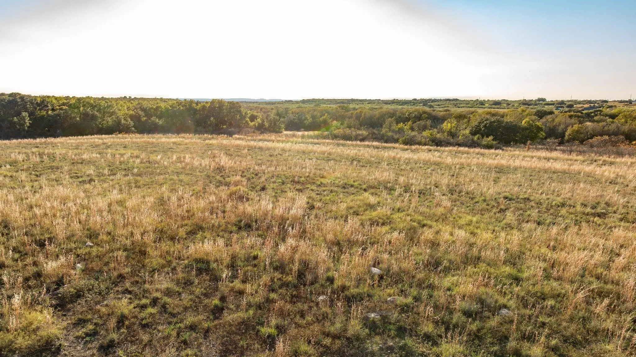 Unimproved Land For Sale in Comanche County , Lot 88 Mason Court, Dublin, Texas 76446, 0, 0, Garage spaces, 0 Sqft, built in 0, mls#21288176, Real Estate Agent in Dublin, Homes For Sale in Comanche county, Homes For Sale in Dublin, Realtor in Dublin Texas, Real Estate Brokerage Independent Realty Texas, Luminita Cordes Realtor