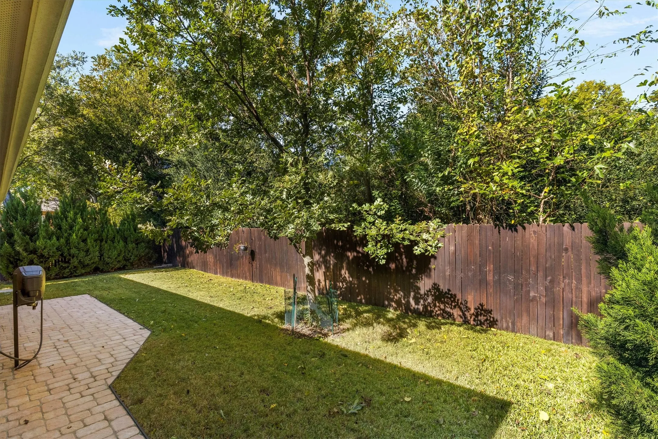 Private backyard featuring a paved patio, manicured lawn, wood privacy fence, and mature perimeter trees