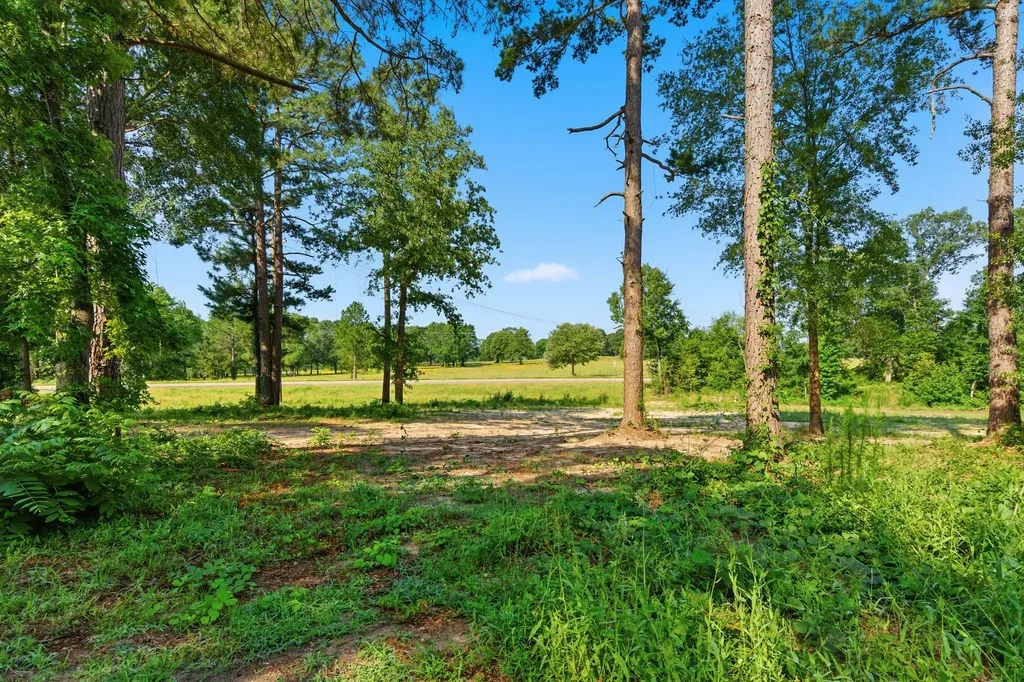 Single Family Residence For Sale in Franklin (TX) County , 85 SE CR 4305, Scroggins, Texas 75480, 3 Bedroom, 2 Bathroom, 4 Garage spaces, 1,792 Sqft, built in 2016, mls#21288255, Real Estate Agent in Scroggins, Homes For Sale in Franklin (TX) county, Homes For Sale in Scroggins, Realtor in Scroggins Texas, Real Estate Brokerage Independent Realty Texas, Luminita Cordes Realtor
