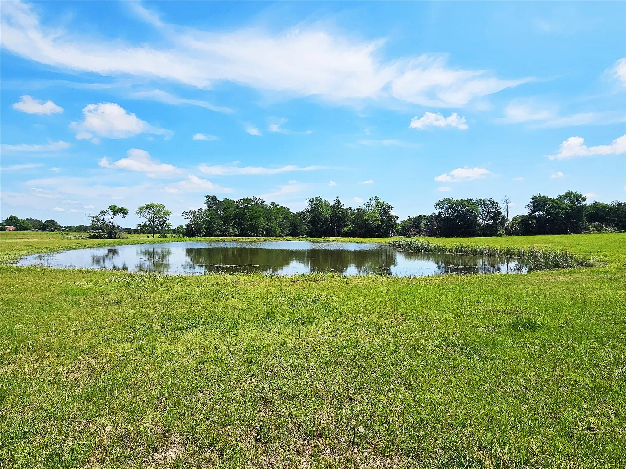 Improved Land For Sale in Limestone County , 13 Acres Fm 39 S, Groesbeck, Texas 76642, 0, 0, Garage spaces, 0 Sqft, built in 0, mls#21287966, Real Estate Agent in Groesbeck, Homes For Sale in Limestone county, Homes For Sale in Groesbeck, Realtor in Groesbeck Texas, Real Estate Brokerage Independent Realty Texas, Luminita Cordes Realtor