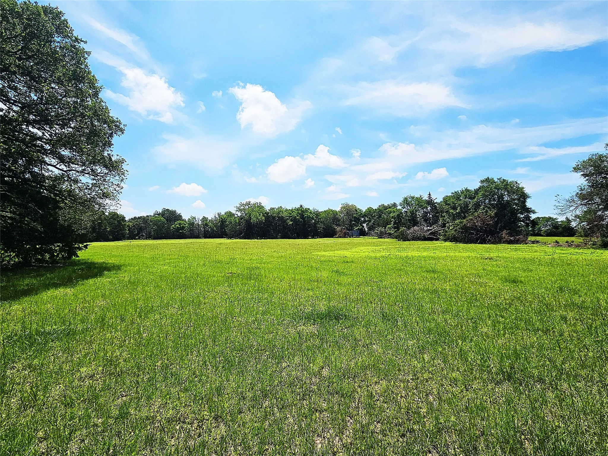 Improved Land For Sale in Limestone County , 13 Acres Fm 39 S, Groesbeck, Texas 76642, 0, 0, Garage spaces, 0 Sqft, built in 0, mls#21287966, Real Estate Agent in Groesbeck, Homes For Sale in Limestone county, Homes For Sale in Groesbeck, Realtor in Groesbeck Texas, Real Estate Brokerage Independent Realty Texas, Luminita Cordes Realtor