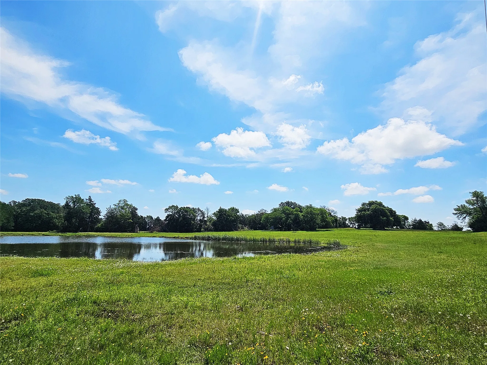 Improved Land For Sale in Limestone County , 13 Acres Fm 39 S, Groesbeck, Texas 76642, 0, 0, Garage spaces, 0 Sqft, built in 0, mls#21287966, Real Estate Agent in Groesbeck, Homes For Sale in Limestone county, Homes For Sale in Groesbeck, Realtor in Groesbeck Texas, Real Estate Brokerage Independent Realty Texas, Luminita Cordes Realtor