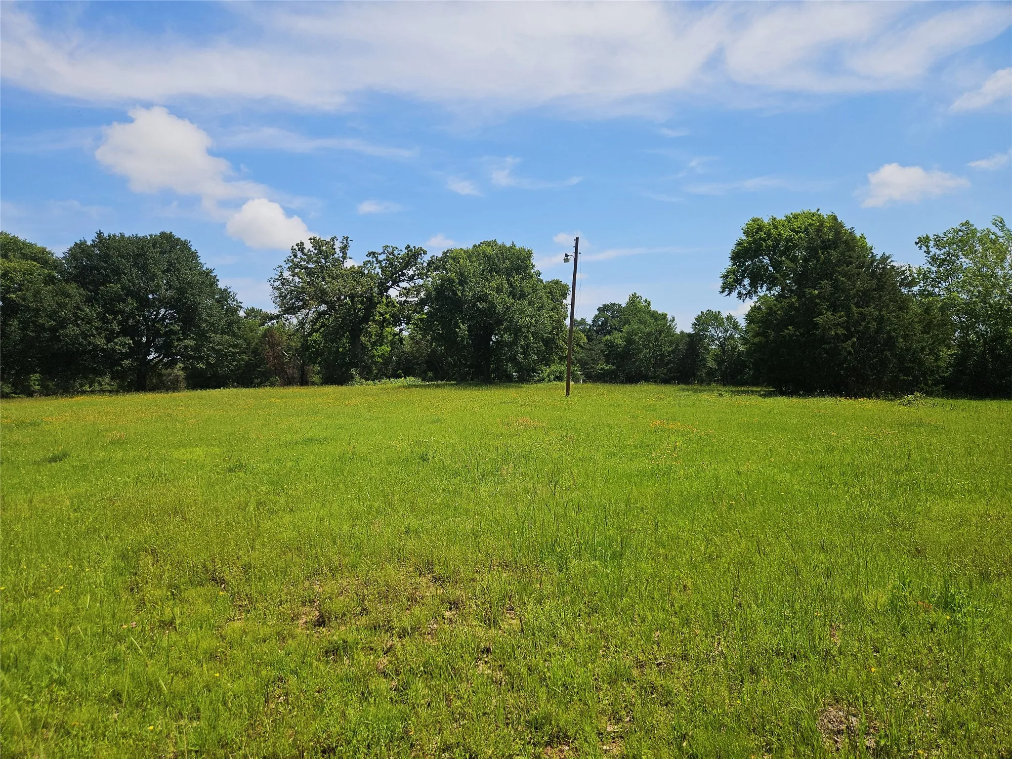 Improved Land For Sale in Limestone County , 13 Acres Fm 39 S, Groesbeck, Texas 76642, 0, 0, Garage spaces, 0 Sqft, built in 0, mls#21287966, Real Estate Agent in Groesbeck, Homes For Sale in Limestone county, Homes For Sale in Groesbeck, Realtor in Groesbeck Texas, Real Estate Brokerage Independent Realty Texas, Luminita Cordes Realtor