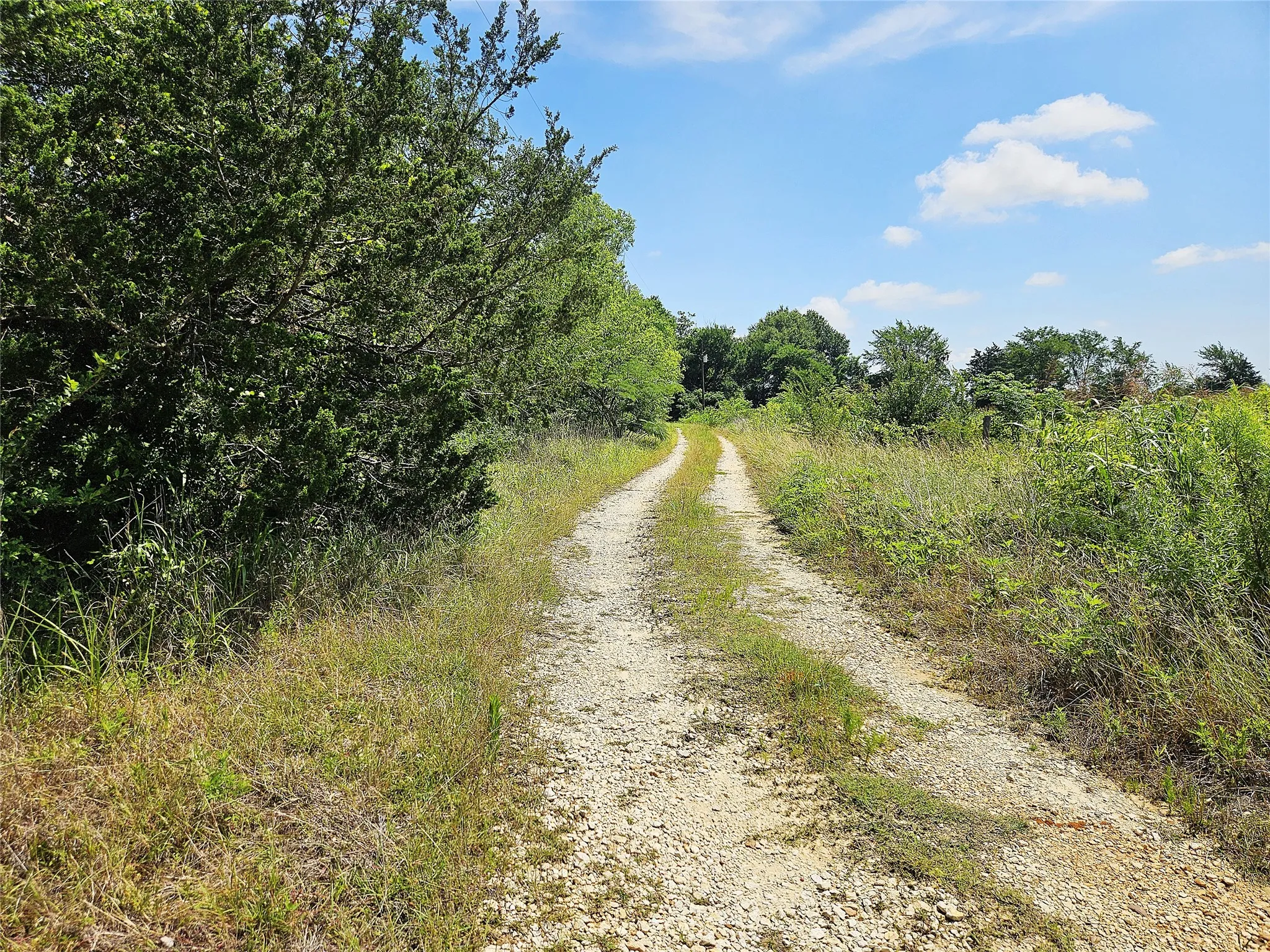 Improved Land For Sale in Limestone County , 13 Acres Fm 39 S, Groesbeck, Texas 76642, 0, 0, Garage spaces, 0 Sqft, built in 0, mls#21287966, Real Estate Agent in Groesbeck, Homes For Sale in Limestone county, Homes For Sale in Groesbeck, Realtor in Groesbeck Texas, Real Estate Brokerage Independent Realty Texas, Luminita Cordes Realtor