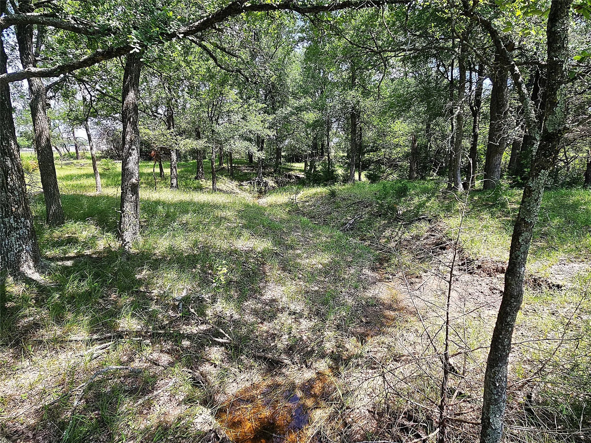 Improved Land For Sale in Limestone County , 13 Acres Fm 39 S, Groesbeck, Texas 76642, 0, 0, Garage spaces, 0 Sqft, built in 0, mls#21287966, Real Estate Agent in Groesbeck, Homes For Sale in Limestone county, Homes For Sale in Groesbeck, Realtor in Groesbeck Texas, Real Estate Brokerage Independent Realty Texas, Luminita Cordes Realtor
