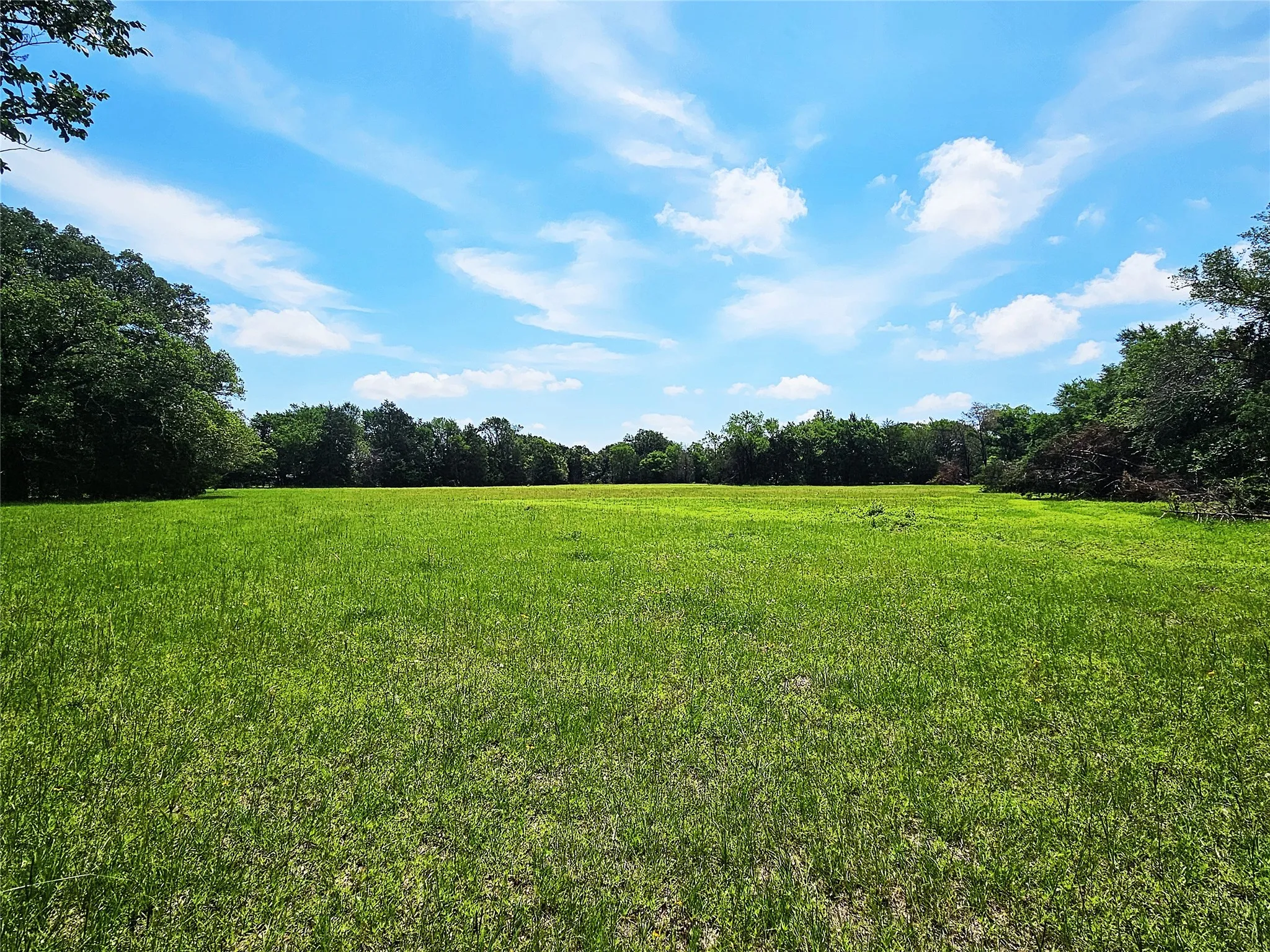 Improved Land For Sale in Limestone County , 13 Acres Fm 39 S, Groesbeck, Texas 76642, 0, 0, Garage spaces, 0 Sqft, built in 0, mls#21287966, Real Estate Agent in Groesbeck, Homes For Sale in Limestone county, Homes For Sale in Groesbeck, Realtor in Groesbeck Texas, Real Estate Brokerage Independent Realty Texas, Luminita Cordes Realtor