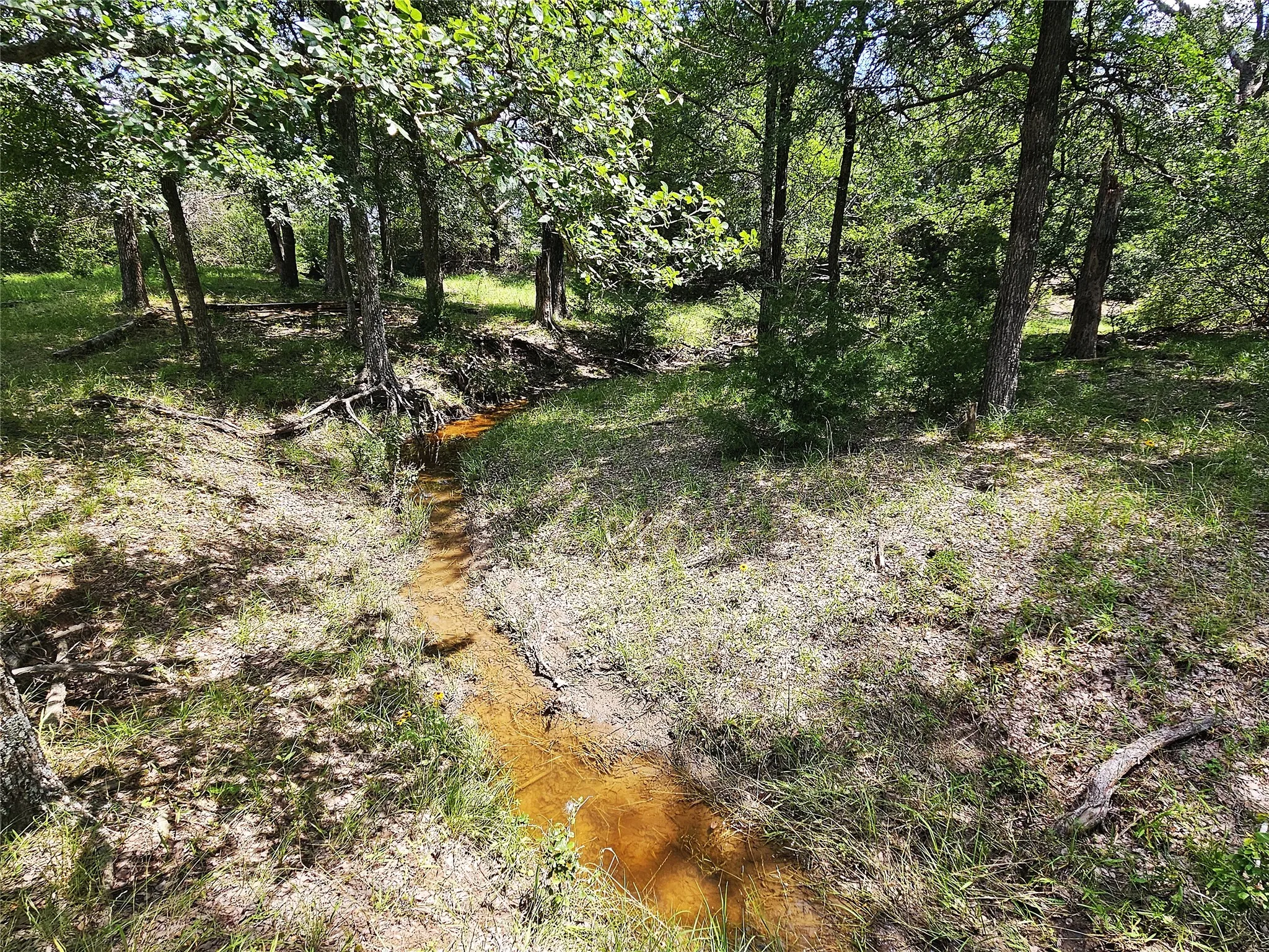 Improved Land For Sale in Limestone County , 13 Acres Fm 39 S, Groesbeck, Texas 76642, 0, 0, Garage spaces, 0 Sqft, built in 0, mls#21287966, Real Estate Agent in Groesbeck, Homes For Sale in Limestone county, Homes For Sale in Groesbeck, Realtor in Groesbeck Texas, Real Estate Brokerage Independent Realty Texas, Luminita Cordes Realtor