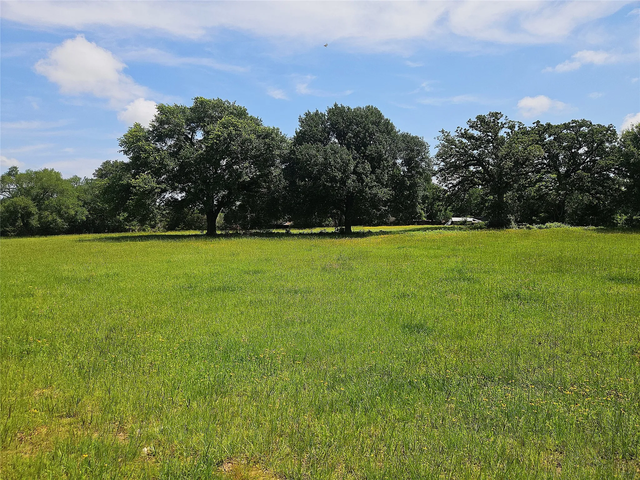 Improved Land For Sale in Limestone County , 13 Acres Fm 39 S, Groesbeck, Texas 76642, 0, 0, Garage spaces, 0 Sqft, built in 0, mls#21287966, Real Estate Agent in Groesbeck, Homes For Sale in Limestone county, Homes For Sale in Groesbeck, Realtor in Groesbeck Texas, Real Estate Brokerage Independent Realty Texas, Luminita Cordes Realtor
