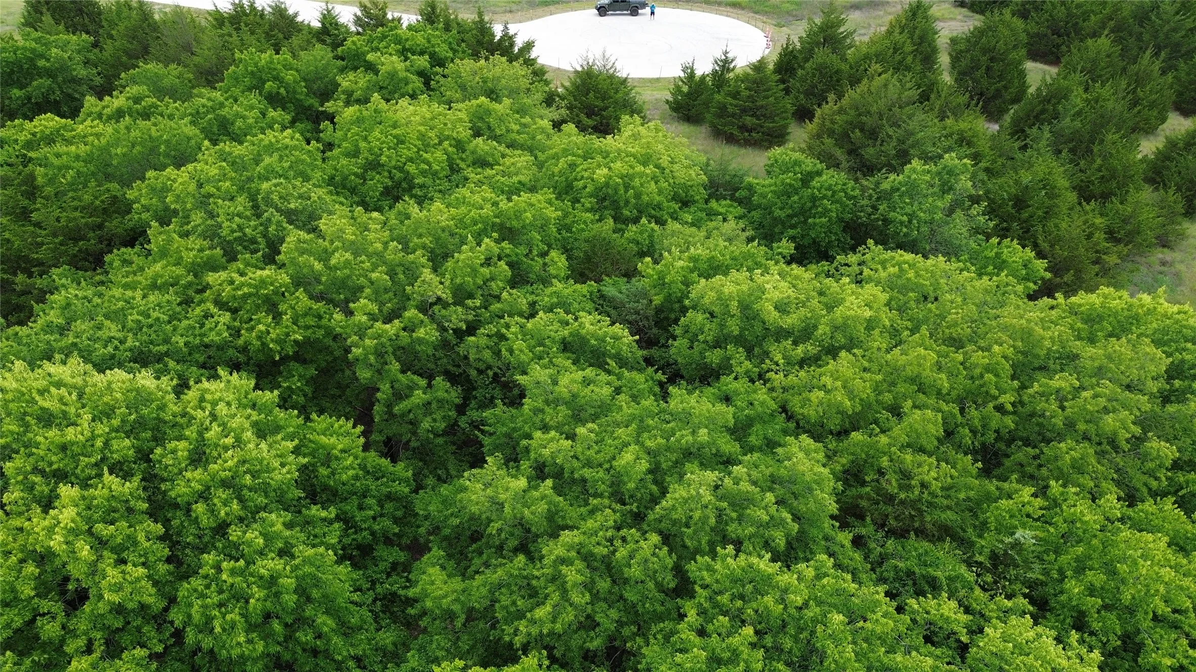 Unimproved Land For Sale in Collin County , tbv Evergreen Way, Nevada, Texas 75173, 0, 0, Garage spaces, 0 Sqft, built in 0, Price $190,000, mls#21288378, Real Estate Agent in Nevada, Homes For Sale in Collin county, Homes For Sale in Nevada, Realtor in Nevada Texas, Real Estate Brokerage Independent Realty Texas, Luminita Cordes Realtor