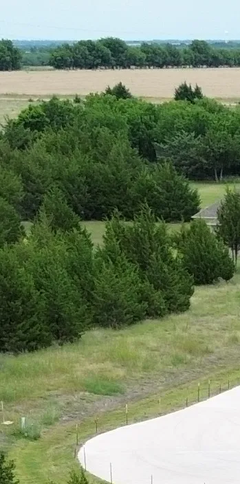 Unimproved Land For Sale in Collin County , tbv Evergreen Way, Nevada, Texas 75173, 0, 0, Garage spaces, 0 Sqft, built in 0, Price $190,000, mls#21288378, Real Estate Agent in Nevada, Homes For Sale in Collin county, Homes For Sale in Nevada, Realtor in Nevada Texas, Real Estate Brokerage Independent Realty Texas, Luminita Cordes Realtor