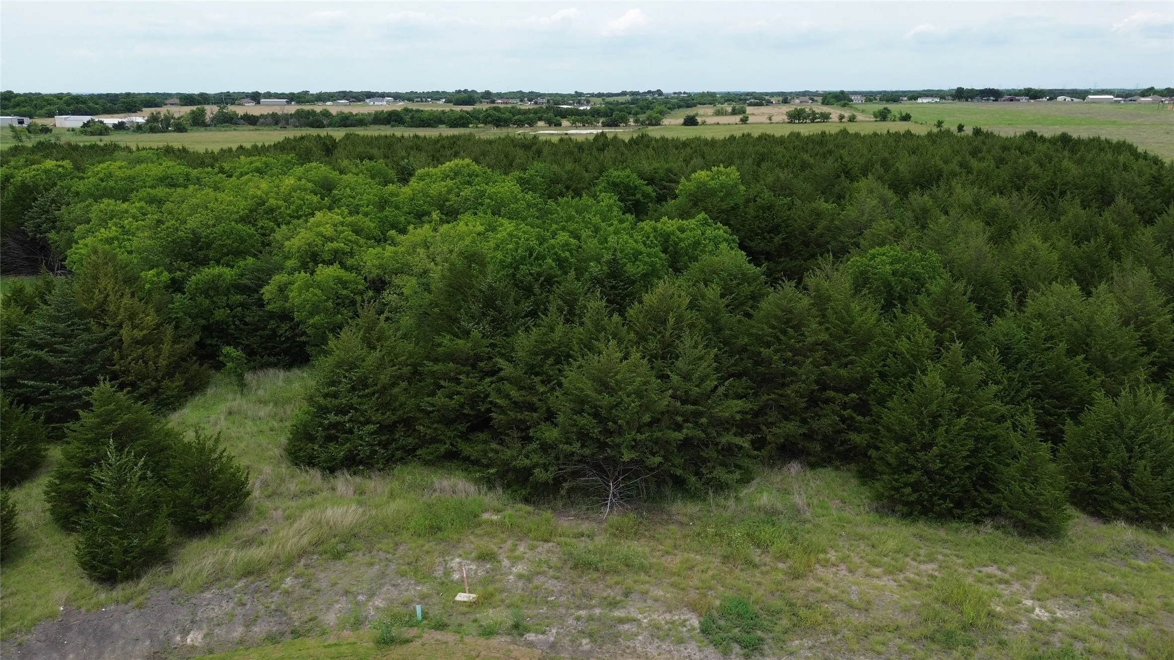 Unimproved Land For Sale in Collin County , tbv Evergreen Way, Nevada, Texas 75173, 0, 0, Garage spaces, 0 Sqft, built in 0, Price $190,000, mls#21288378, Real Estate Agent in Nevada, Homes For Sale in Collin county, Homes For Sale in Nevada, Realtor in Nevada Texas, Real Estate Brokerage Independent Realty Texas, Luminita Cordes Realtor