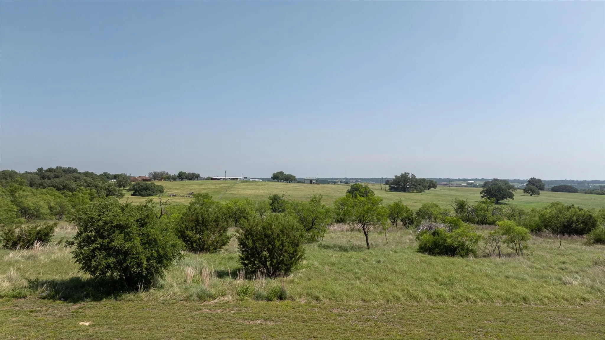 Expansive open land featuring diverse foliage and a clear horizon