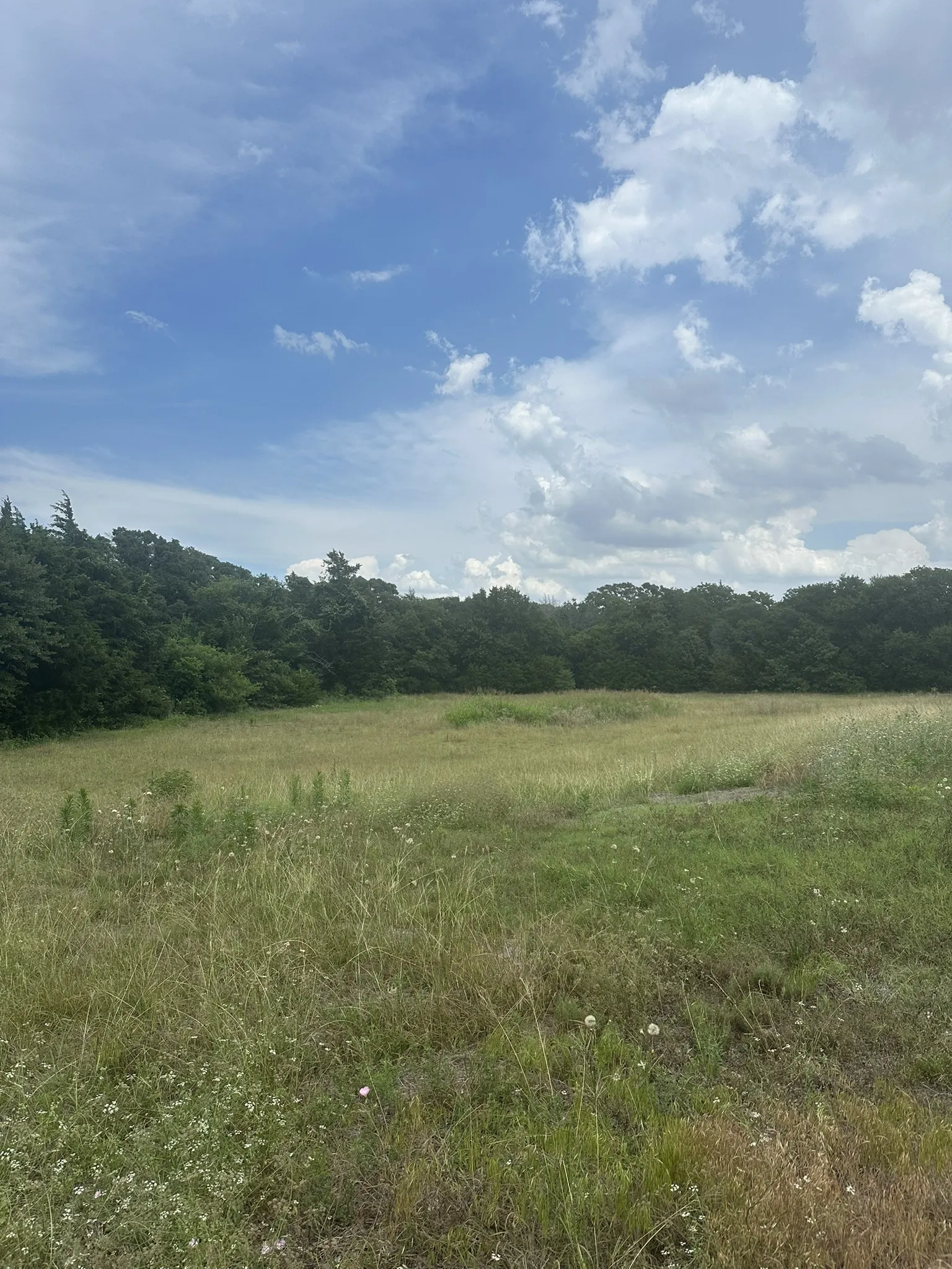 Unimproved Land For Sale in Johnson County , 2413 Plantation Drive N, Burleson, Texas 76028, 0, 0, Garage spaces, 0 Sqft, built in 0, mls#21284869, Real Estate Agent in Burleson, Homes For Sale in Johnson county, Homes For Sale in Burleson, Realtor in Burleson Texas, Real Estate Brokerage Independent Realty Texas, Luminita Cordes Realtor