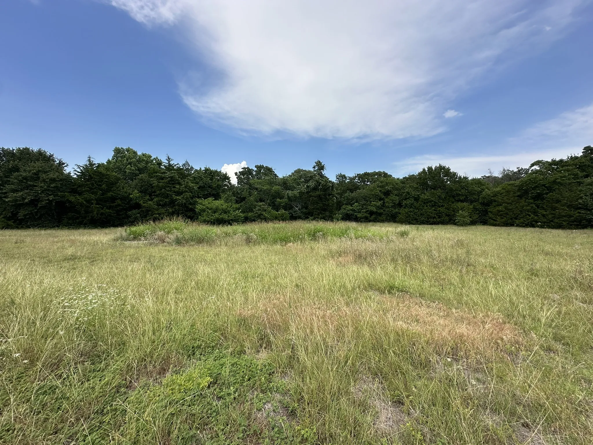 Unimproved Land For Sale in Johnson County , 2413 Plantation Drive N, Burleson, Texas 76028, 0, 0, Garage spaces, 0 Sqft, built in 0, mls#21284869, Real Estate Agent in Burleson, Homes For Sale in Johnson county, Homes For Sale in Burleson, Realtor in Burleson Texas, Real Estate Brokerage Independent Realty Texas, Luminita Cordes Realtor