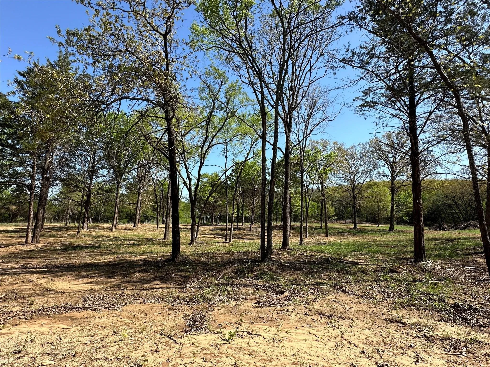 Unimproved Land For Sale in Cooke County , TBD Lot 4 Cr-194, Gainesville, Texas 76240, 0, 0, Garage spaces, 0 Sqft, built in 0, Price $84,990, mls#21288436, Real Estate Agent in Gainesville, Homes For Sale in Cooke county, Homes For Sale in Gainesville, Realtor in Gainesville Texas, Real Estate Brokerage Independent Realty Texas, Luminita Cordes Realtor