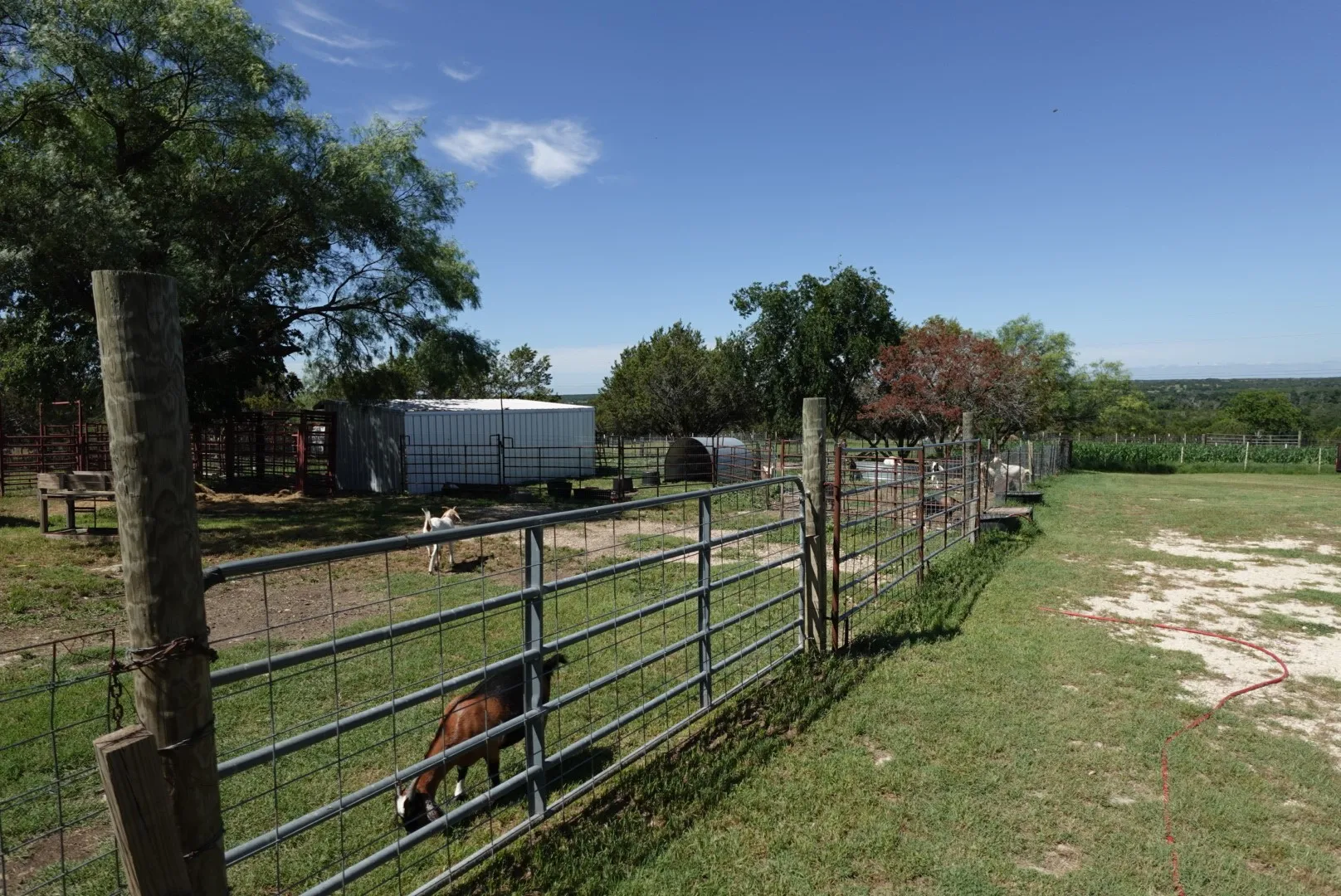 Mobile Home For Sale in Erath County , 30495 State Highway 6, Hico, Texas 76457, 4 Bedrooms, 2 Bathrooms, Garage spaces, 1,792 Sqft, built in 2001, Price $320,000, mls#21288456, Real Estate Agent in Hico, Homes For Sale in Erath county, Homes For Sale in Hico, Realtor in Hico Texas, Real Estate Brokerage Independent Realty Texas, Luminita Cordes Realtor