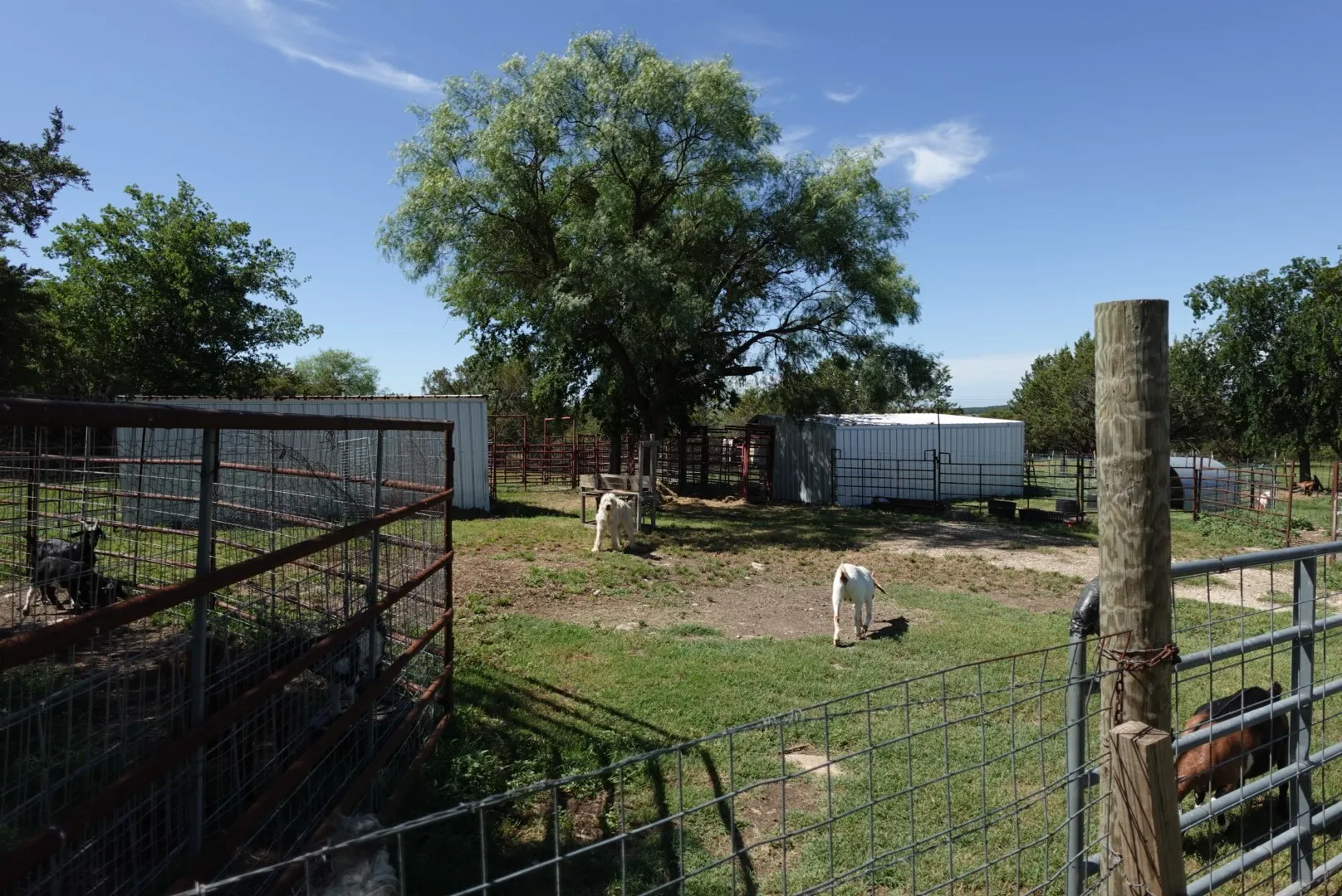 Mobile Home For Sale in Erath County , 30495 State Highway 6, Hico, Texas 76457, 4 Bedrooms, 2 Bathrooms, Garage spaces, 1,792 Sqft, built in 2001, Price $320,000, mls#21288456, Real Estate Agent in Hico, Homes For Sale in Erath county, Homes For Sale in Hico, Realtor in Hico Texas, Real Estate Brokerage Independent Realty Texas, Luminita Cordes Realtor