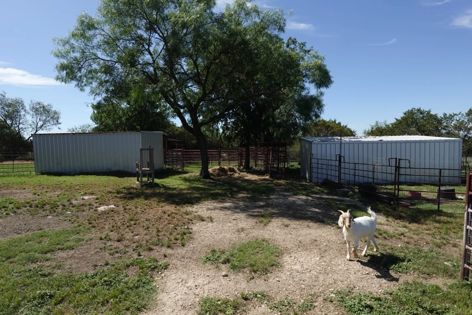 Mobile Home For Sale in Erath County , 30495 State Highway 6, Hico, Texas 76457, 4 Bedrooms, 2 Bathrooms, Garage spaces, 1,792 Sqft, built in 2001, Price $320,000, mls#21288456, Real Estate Agent in Hico, Homes For Sale in Erath county, Homes For Sale in Hico, Realtor in Hico Texas, Real Estate Brokerage Independent Realty Texas, Luminita Cordes Realtor