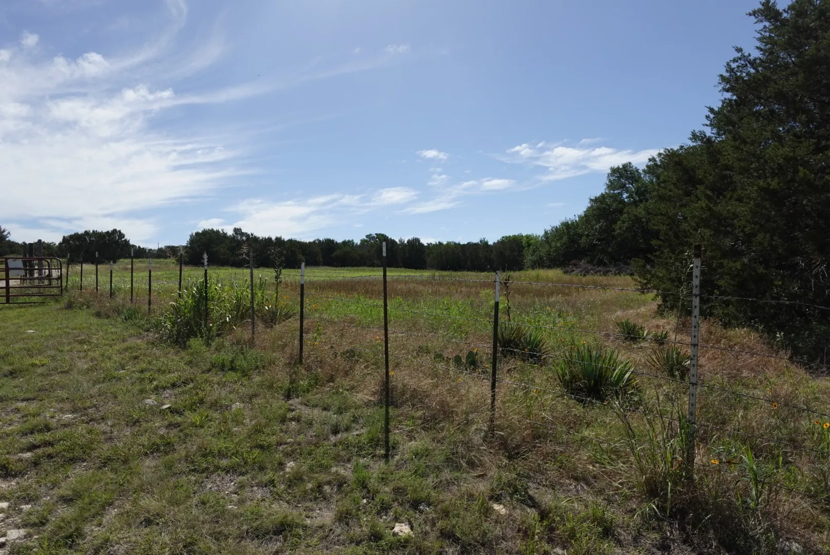 Mobile Home For Sale in Erath County , 30495 State Highway 6, Hico, Texas 76457, 4 Bedrooms, 2 Bathrooms, Garage spaces, 1,792 Sqft, built in 2001, Price $320,000, mls#21288456, Real Estate Agent in Hico, Homes For Sale in Erath county, Homes For Sale in Hico, Realtor in Hico Texas, Real Estate Brokerage Independent Realty Texas, Luminita Cordes Realtor