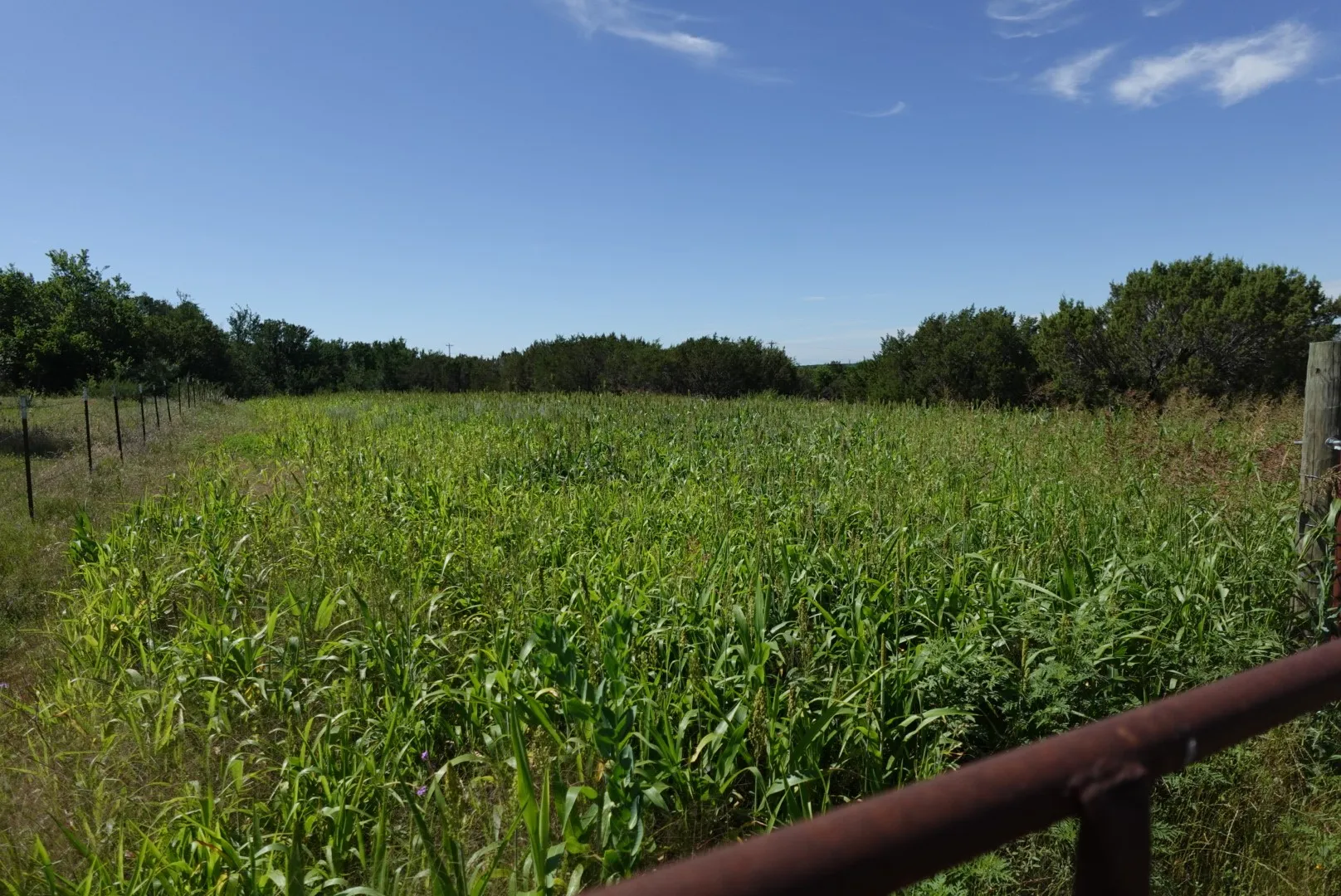 Mobile Home For Sale in Erath County , 30495 State Highway 6, Hico, Texas 76457, 4 Bedrooms, 2 Bathrooms, Garage spaces, 1,792 Sqft, built in 2001, Price $320,000, mls#21288456, Real Estate Agent in Hico, Homes For Sale in Erath county, Homes For Sale in Hico, Realtor in Hico Texas, Real Estate Brokerage Independent Realty Texas, Luminita Cordes Realtor