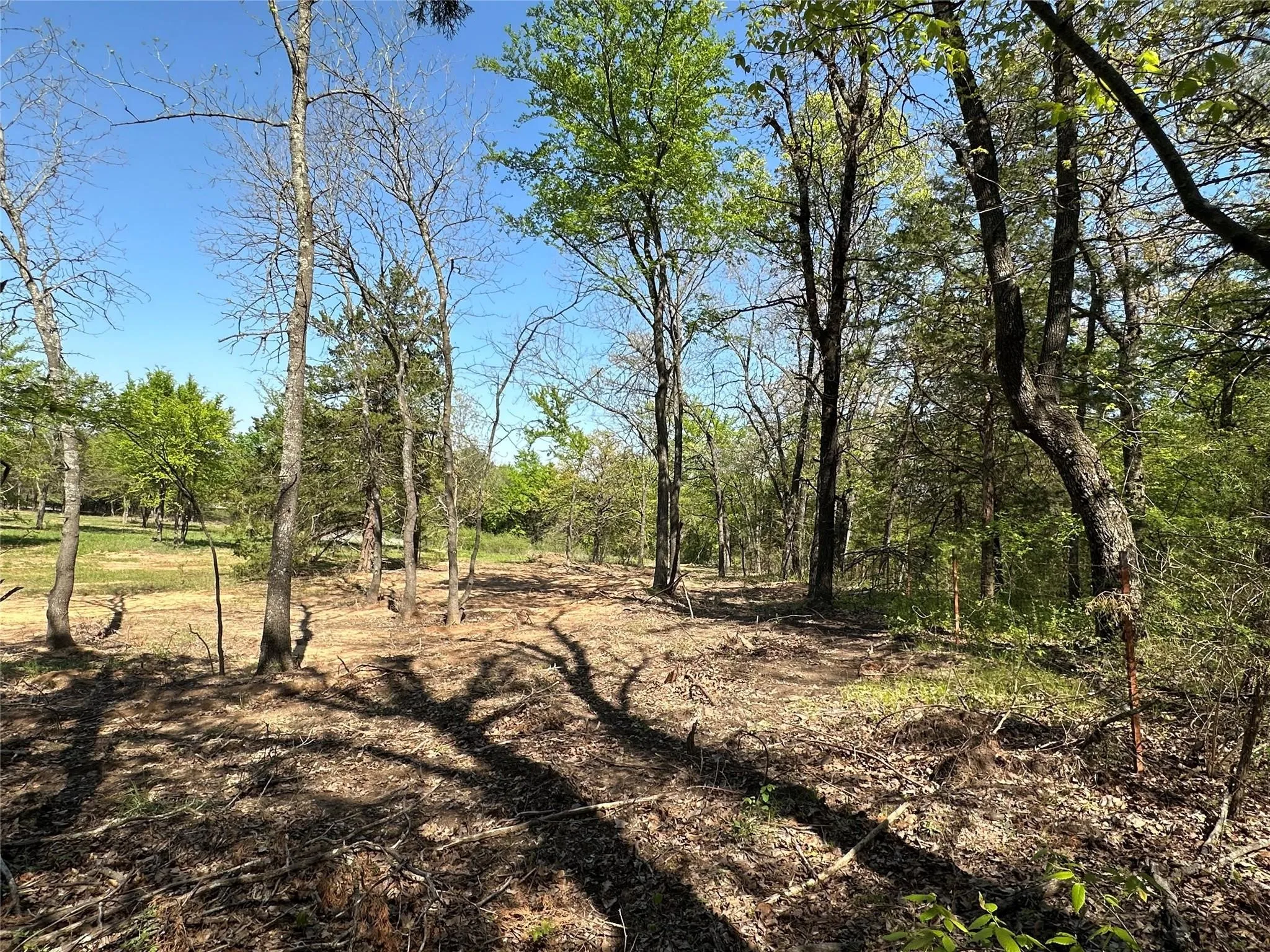 Unimproved Land For Sale in Cooke County , TBD Lot 5 Cr-194, Gainesville, Texas 76240, 0, 0, Garage spaces, 0 Sqft, built in 0, Price $84,900, mls#21288465, Real Estate Agent in Gainesville, Homes For Sale in Cooke county, Homes For Sale in Gainesville, Realtor in Gainesville Texas, Real Estate Brokerage Independent Realty Texas, Luminita Cordes Realtor