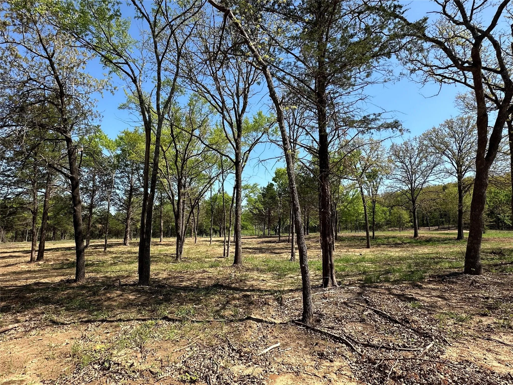 Unimproved Land For Sale in Cooke County , TBD Lot 5 Cr-194, Gainesville, Texas 76240, 0, 0, Garage spaces, 0 Sqft, built in 0, Price $84,900, mls#21288465, Real Estate Agent in Gainesville, Homes For Sale in Cooke county, Homes For Sale in Gainesville, Realtor in Gainesville Texas, Real Estate Brokerage Independent Realty Texas, Luminita Cordes Realtor