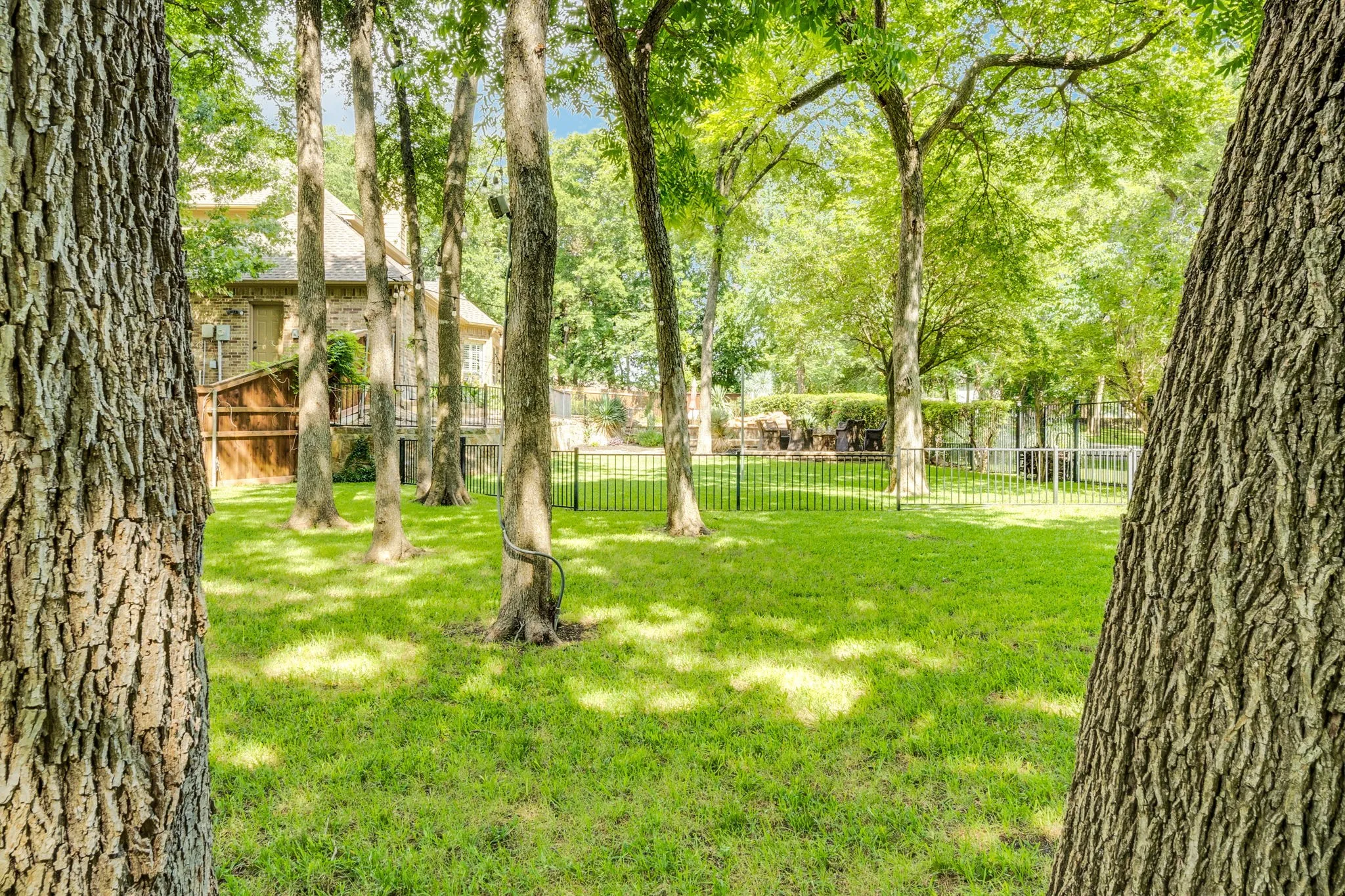 Wooded backyard with mature trees creating a private, natural setting.