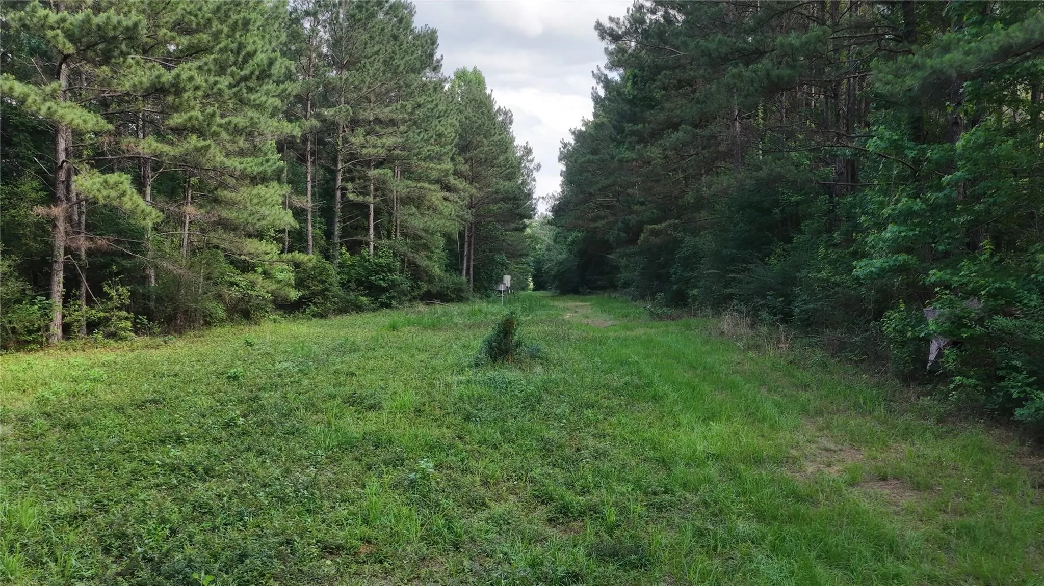 Farm For Sale in Cherokee County , 447 County Road 2211, Rusk, Texas 75785, 6 Bedroom, 5 Bathroom, 3 Garage spaces, 6,345 Sqft, built in 2025, Price $4,495,000, mls#21284154, Real Estate Agent in Rusk, Homes For Sale in Cherokee county, Homes For Sale in Rusk, Realtor in Rusk Texas, Real Estate Brokerage Independent Realty Texas, Luminita Cordes Realtor