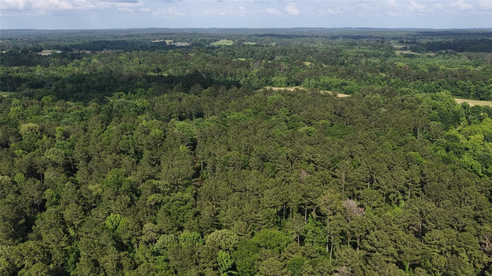 Farm For Sale in Cherokee County , 447 County Road 2211, Rusk, Texas 75785, 6 Bedroom, 5 Bathroom, 3 Garage spaces, 6,345 Sqft, built in 2025, Price $4,495,000, mls#21284154, Real Estate Agent in Rusk, Homes For Sale in Cherokee county, Homes For Sale in Rusk, Realtor in Rusk Texas, Real Estate Brokerage Independent Realty Texas, Luminita Cordes Realtor