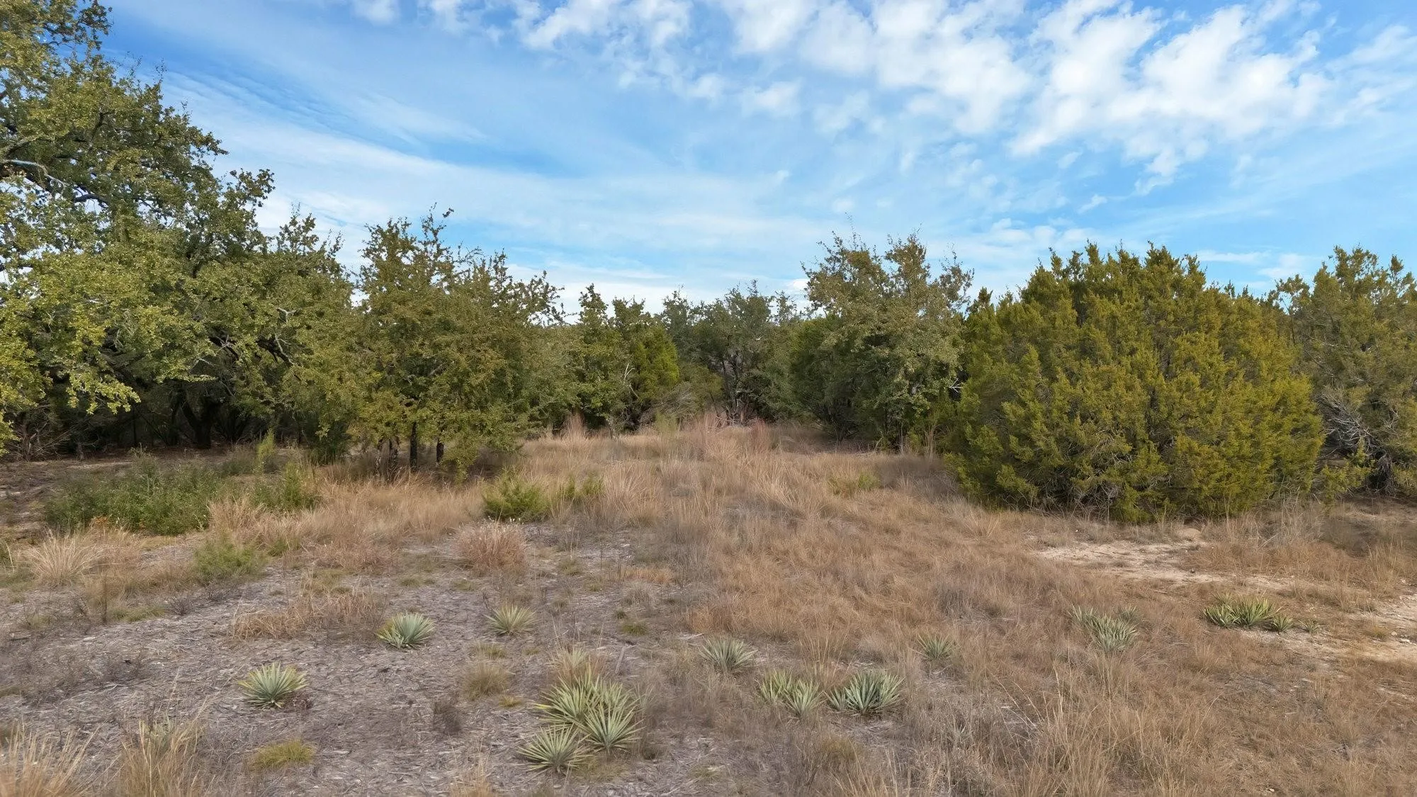 Unimproved Land For Sale in Somervell County , 1064 County Road 407a, Nemo, Texas 76070, 0, 0, Garage spaces, 0 Sqft, built in 0, Price $79,000, mls#21288549, Real Estate Agent in Nemo, Homes For Sale in Somervell county, Homes For Sale in Nemo, Realtor in Nemo Texas, Real Estate Brokerage Independent Realty Texas, Luminita Cordes Realtor